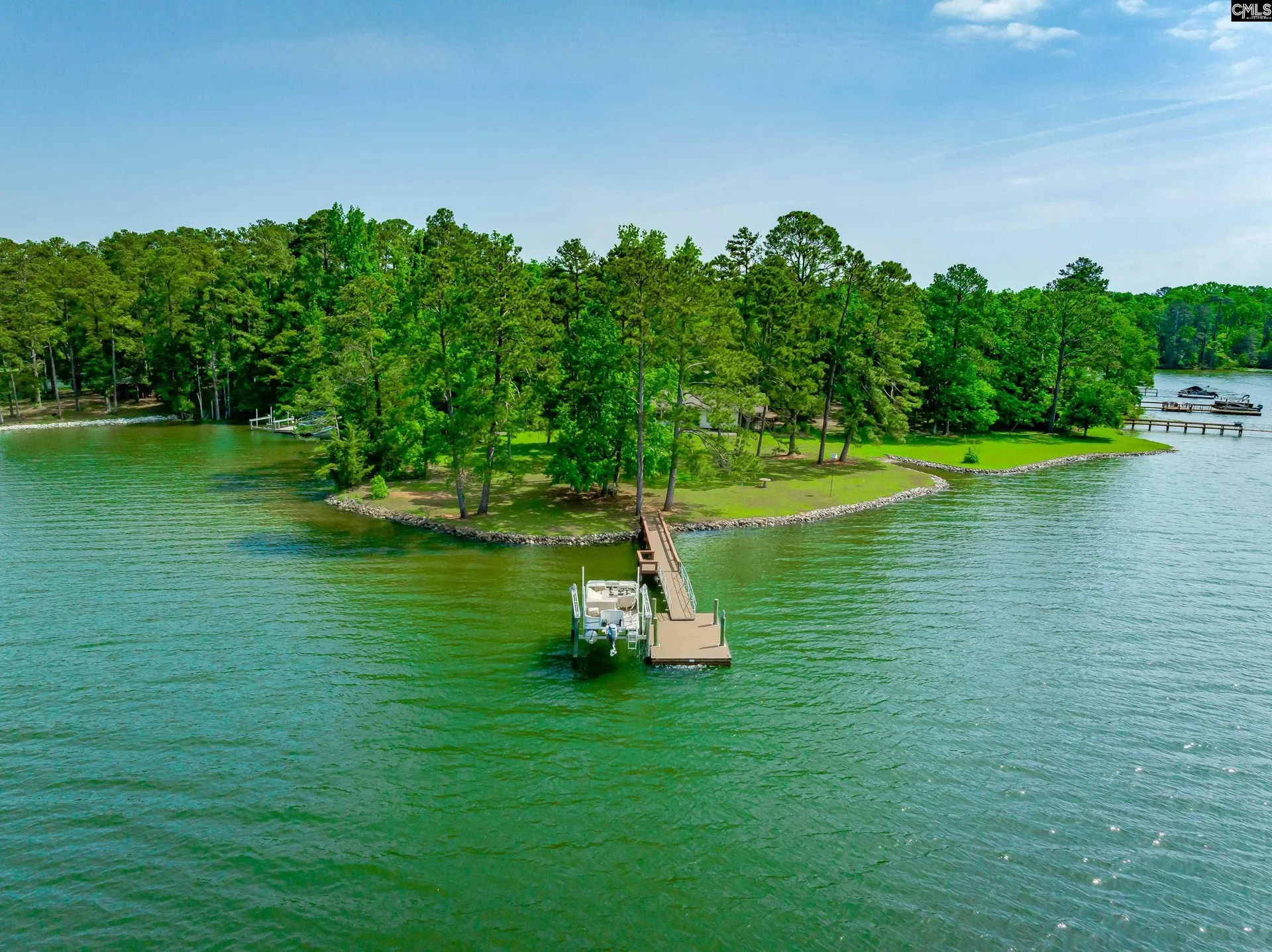 Property image 5 at 748 Crystal Lake Circle, Chapin, SC 29036