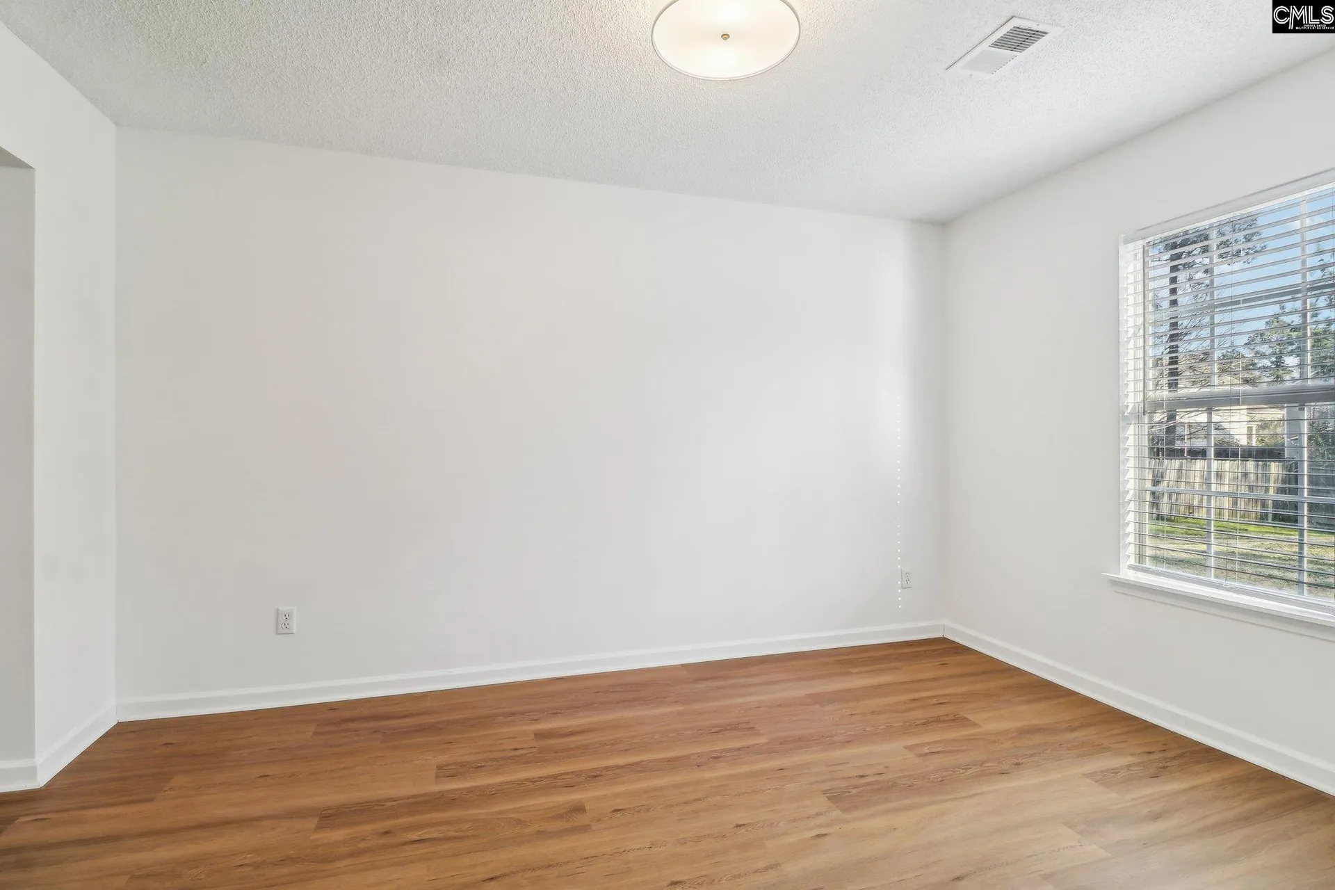 Property image 4 at 104 Wingspan Way, Chapin, SC 29036
