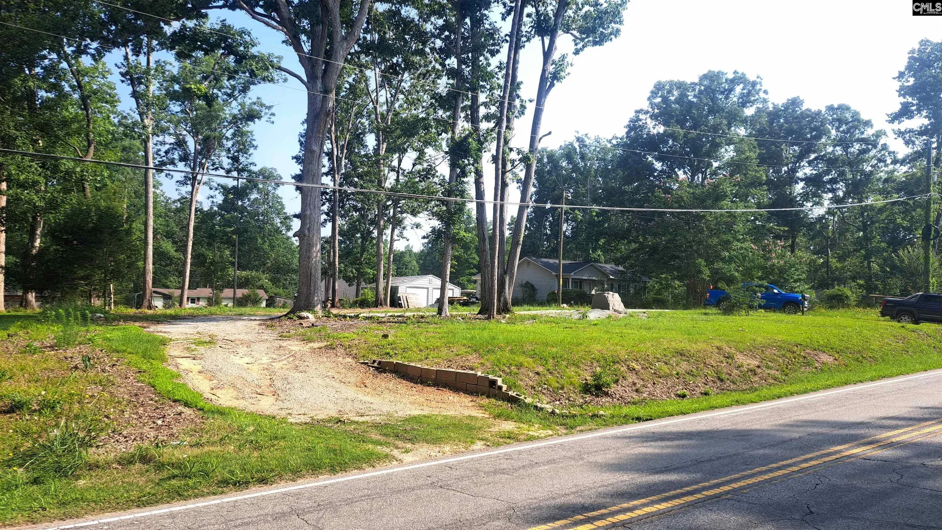 Property image 5 at 1520 Dreher Island Road, Chapin, SC 29036