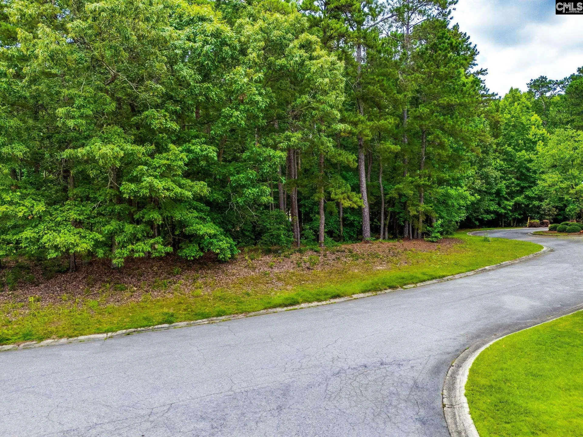 Property image 3 at 203 Beaver Lake Drive, Elgin, SC 29045