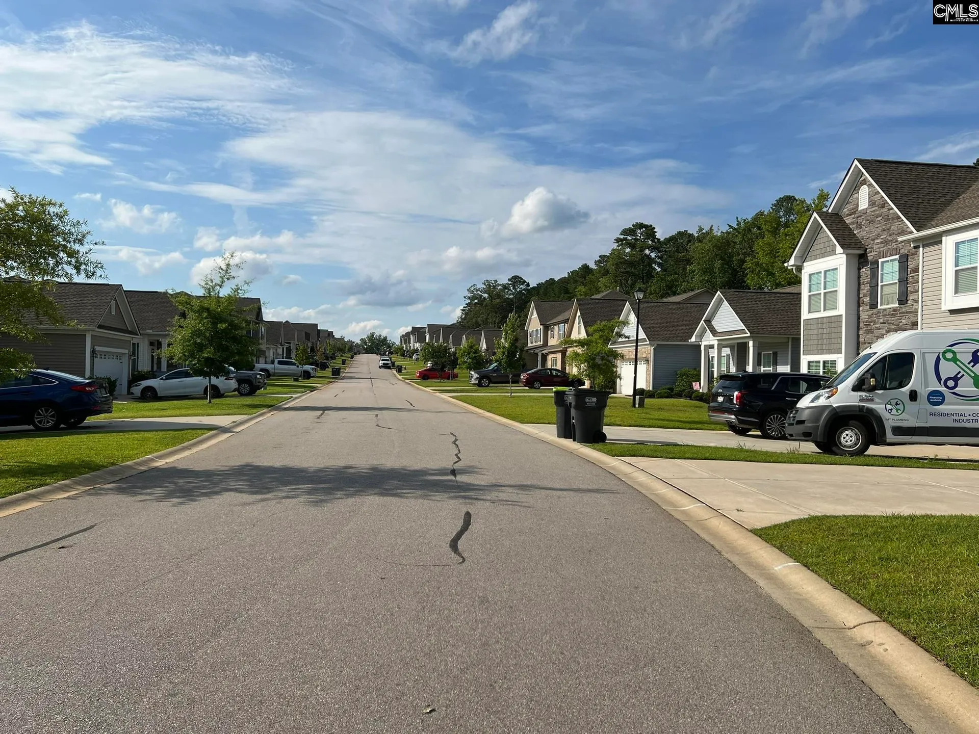Property image 5 at 124 Doolittle Drive, Chapin, SC 29036