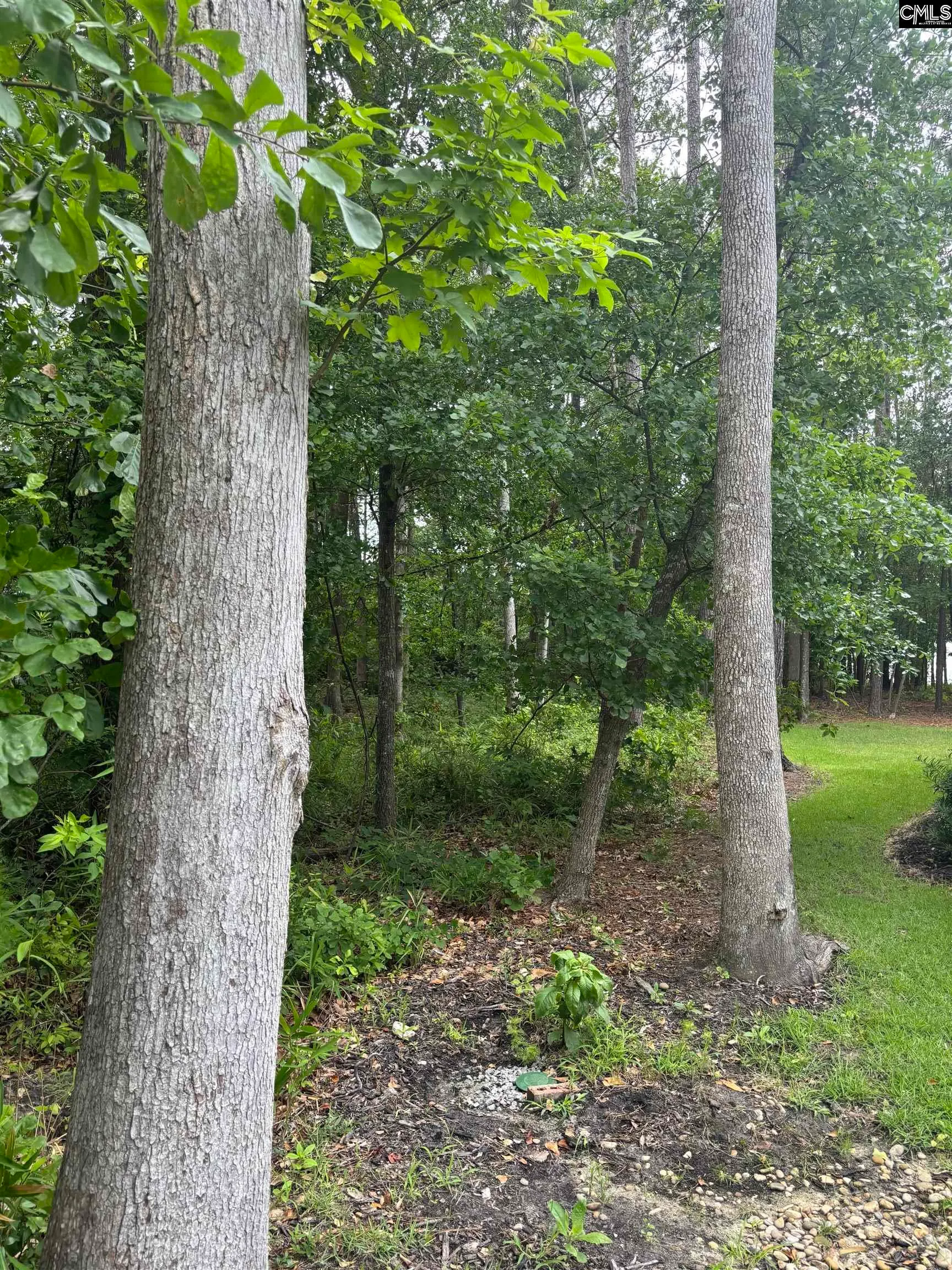 Property image 3 at 797 Harbor Vista Drive, Columbia, SC 29229