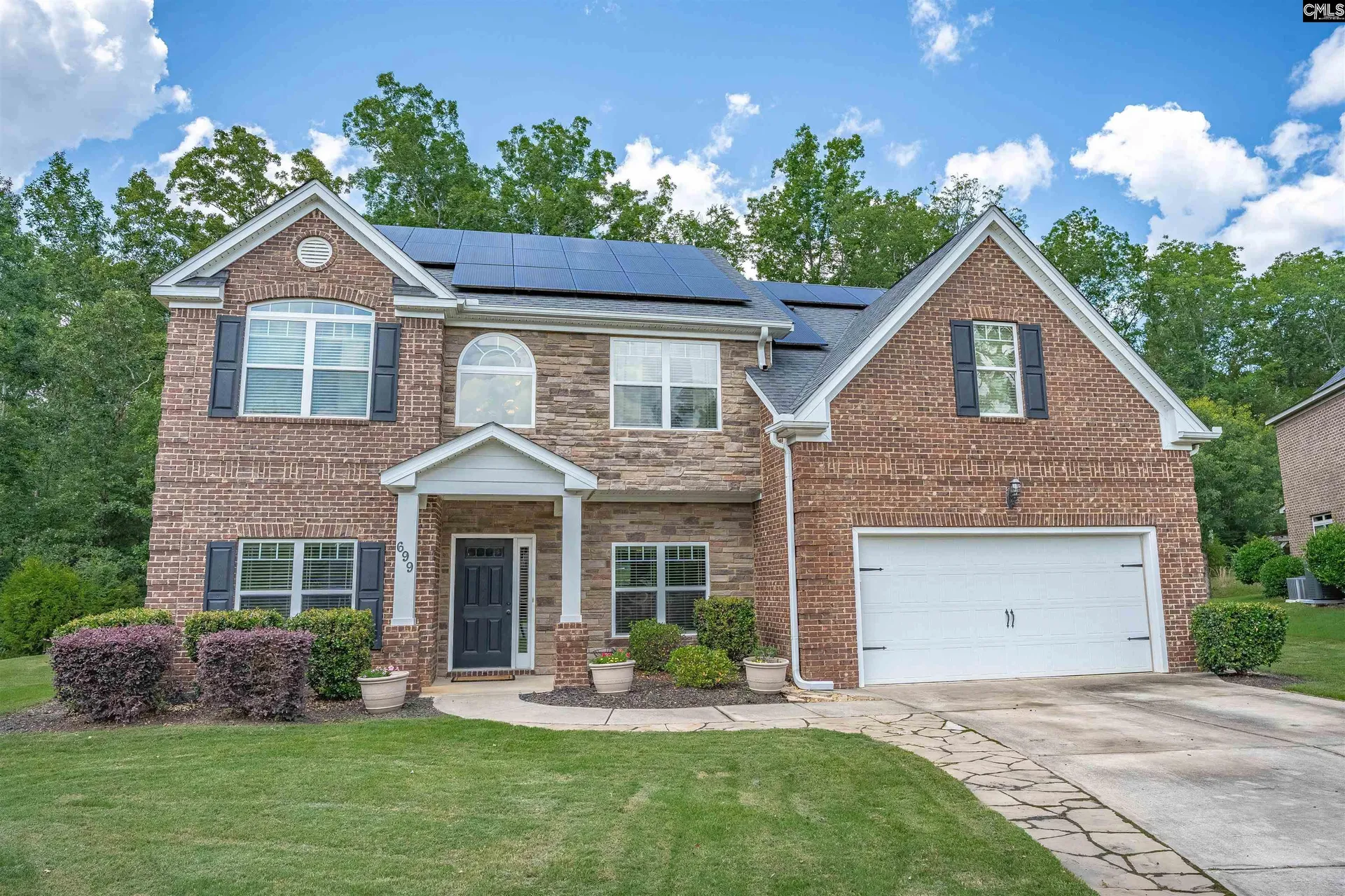 Property image 2 at 699 Village Market Drive, Chapin, SC 29036
