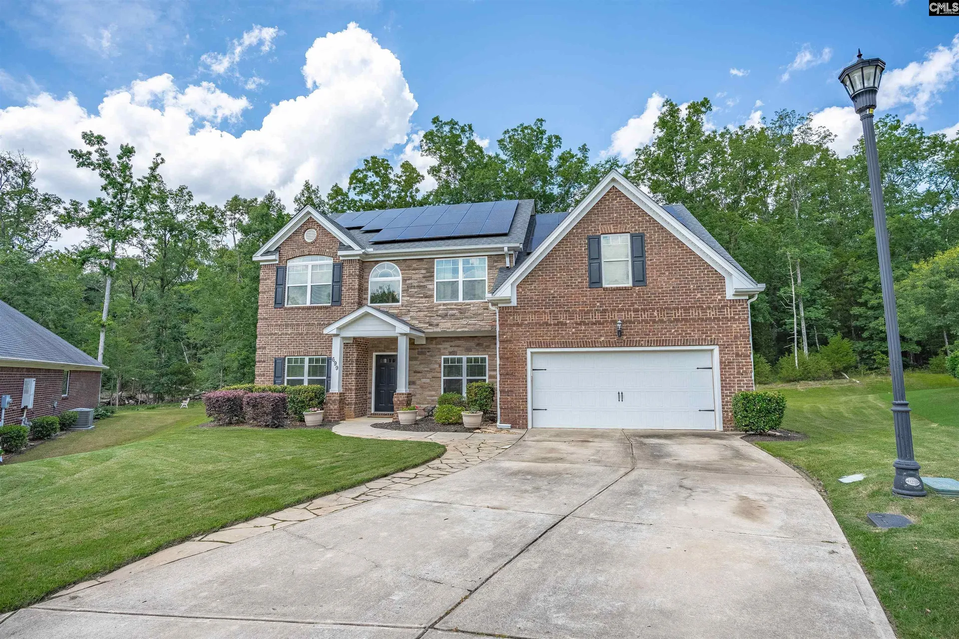 Property image 4 at 699 Village Market Drive, Chapin, SC 29036