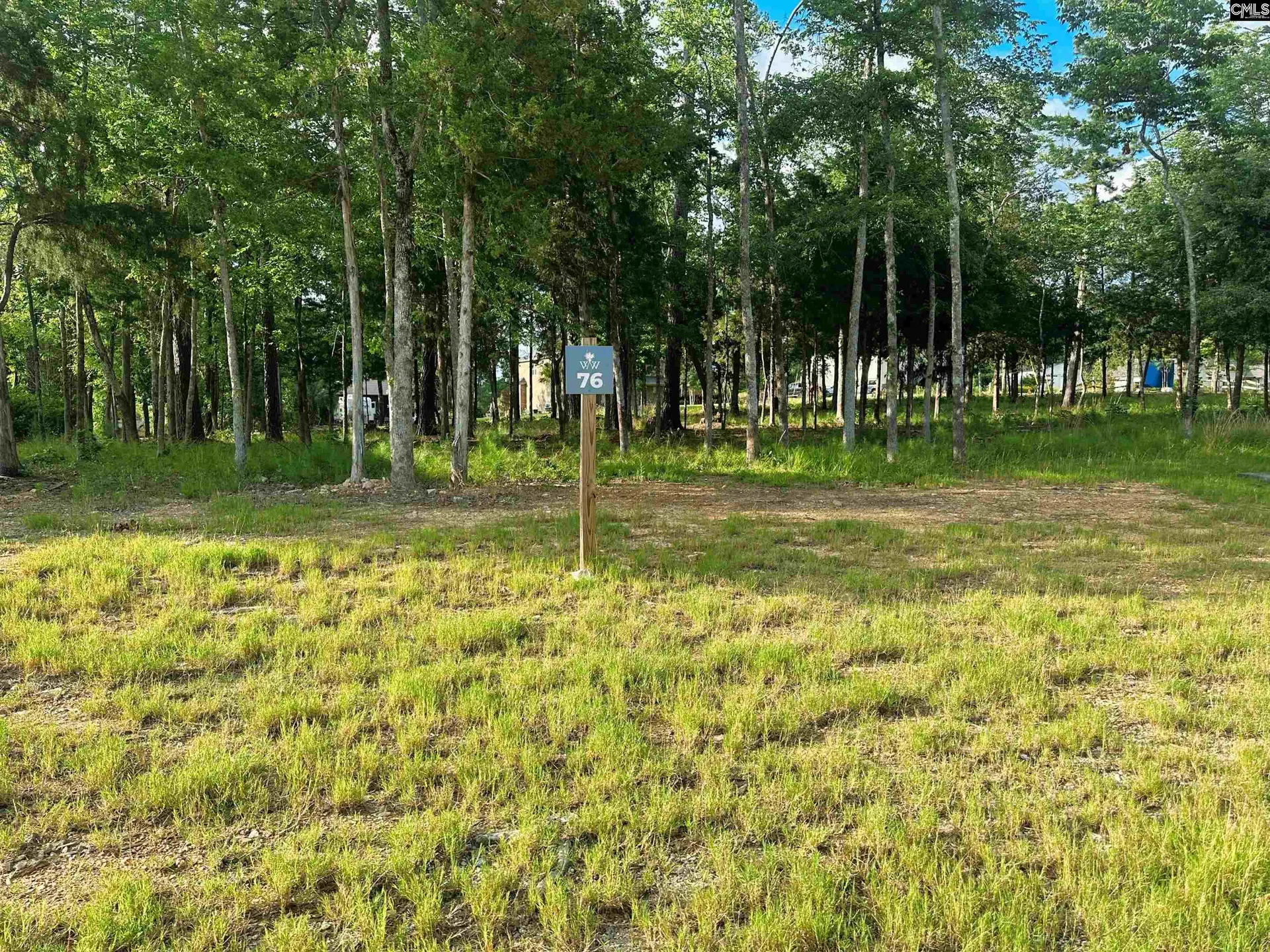 Property image 2 at 812 Elms Spinney Lane, Chapin, SC 29036