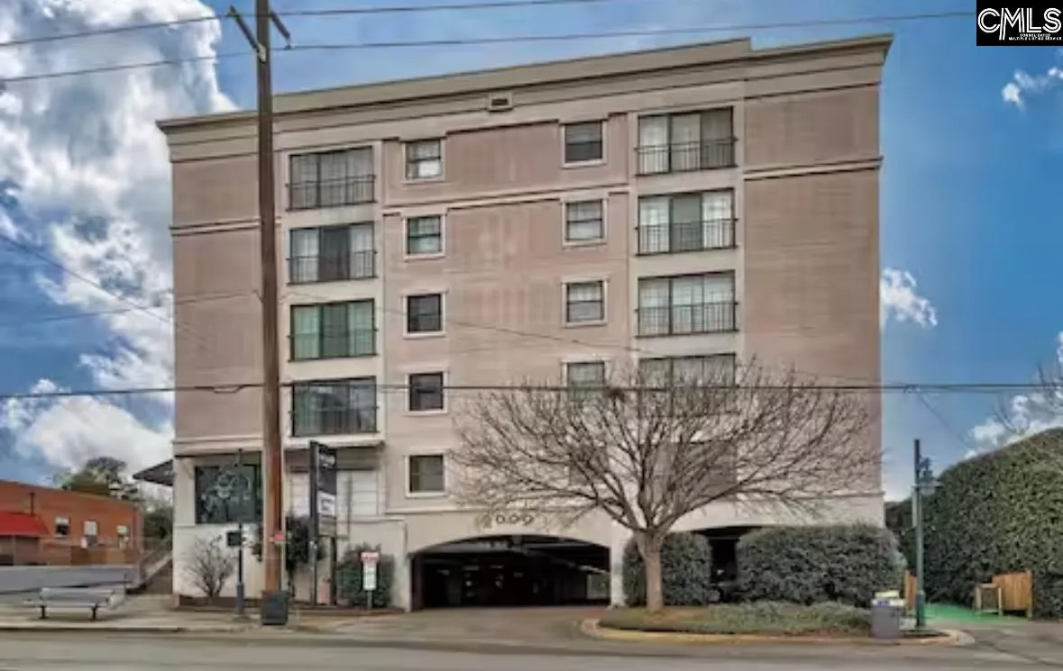Plaza Centre, Columbia Community