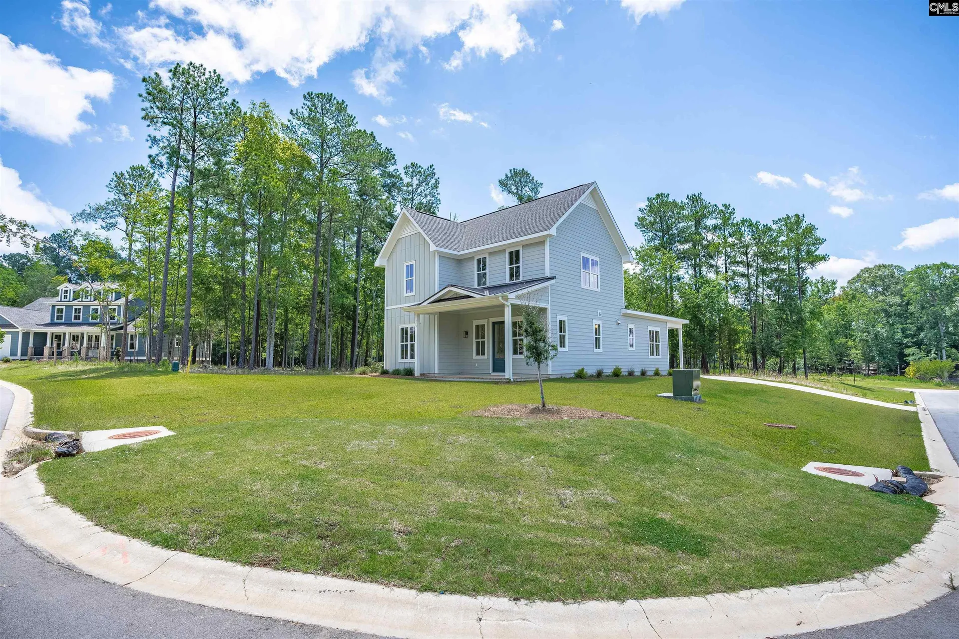 Property image 4 at 585 Misty Banks Drive, Chapin, SC 29036