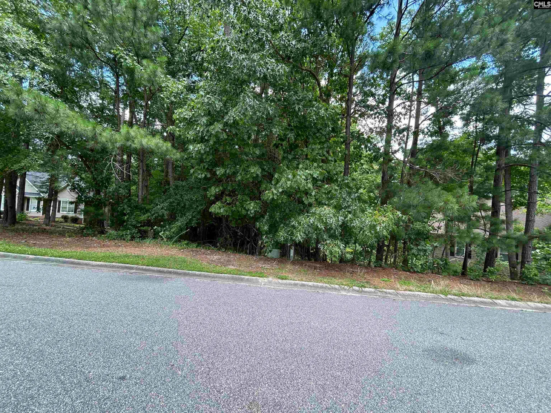Property image 5 at Tbd Whiteoak Ridge Rd, Blythewood, SC 29016