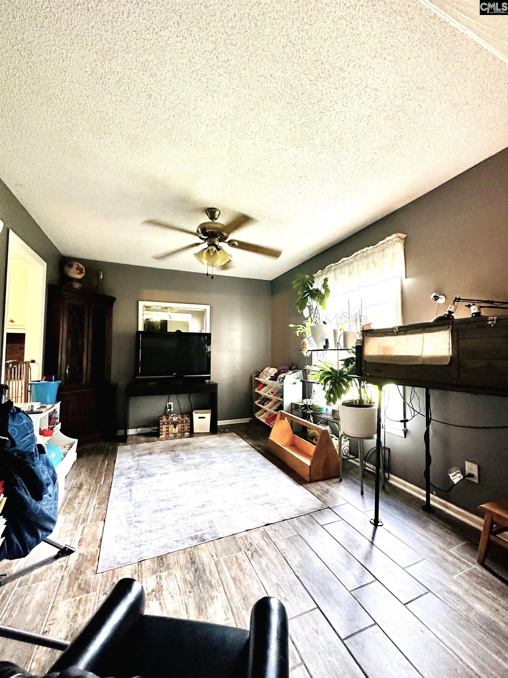 Property image 4 at 245 Teesdale Court, Lexington, SC 29072