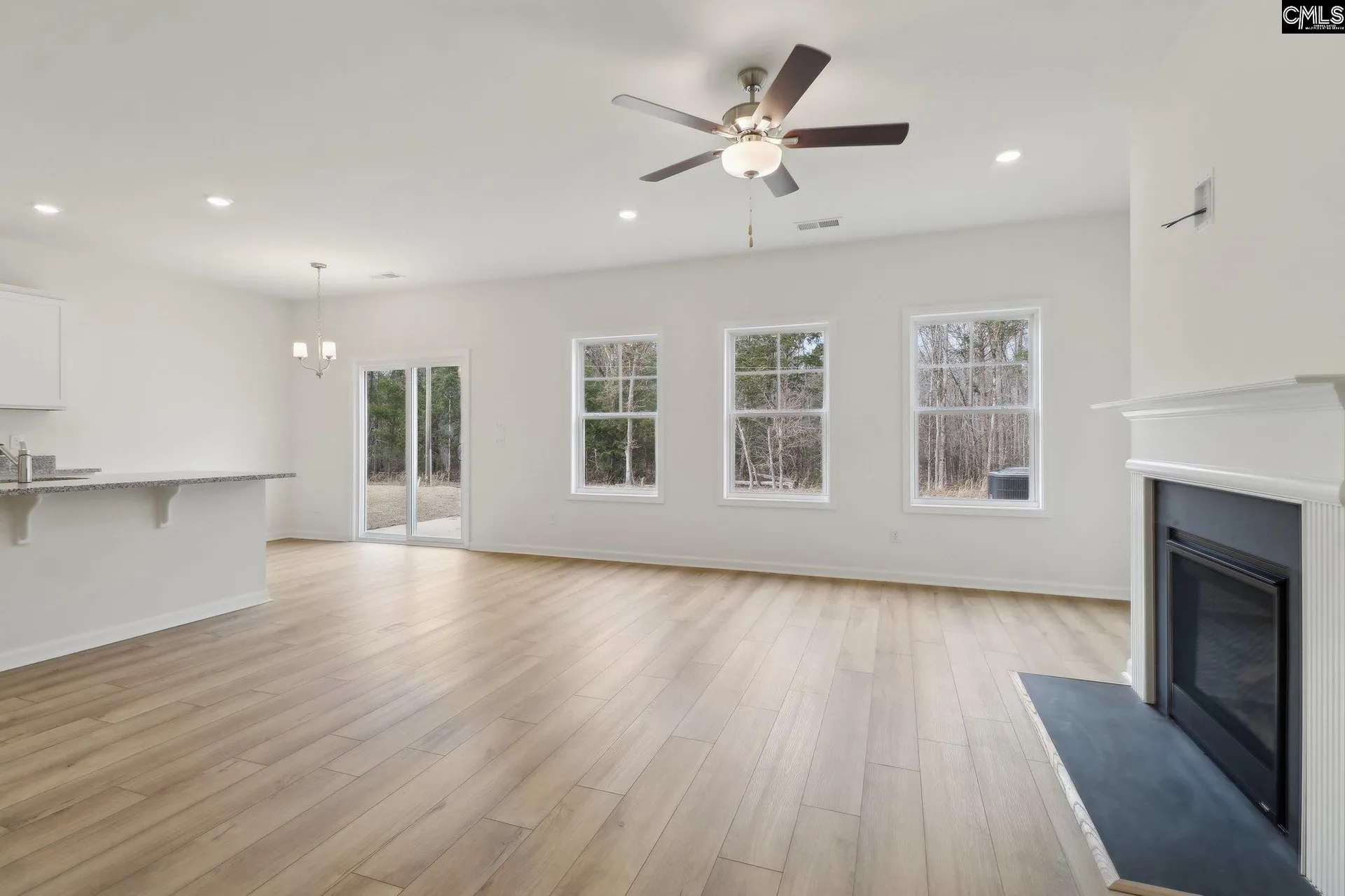 Property image 4 at 513 Griffon Drive, Chapin, SC 29036