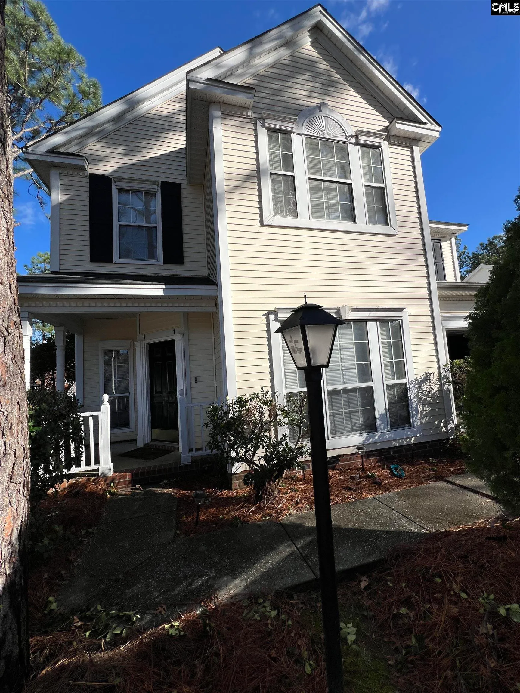 The Summit, Columbia Community