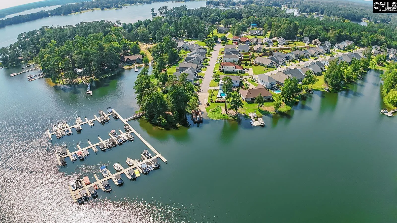 Property image 3 at 122 Azur Avenue, Chapin, SC 29036