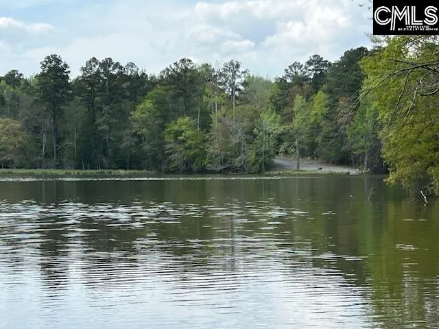 Property image 2 at 280 General Sumter Drive, Great Falls, SC 29055