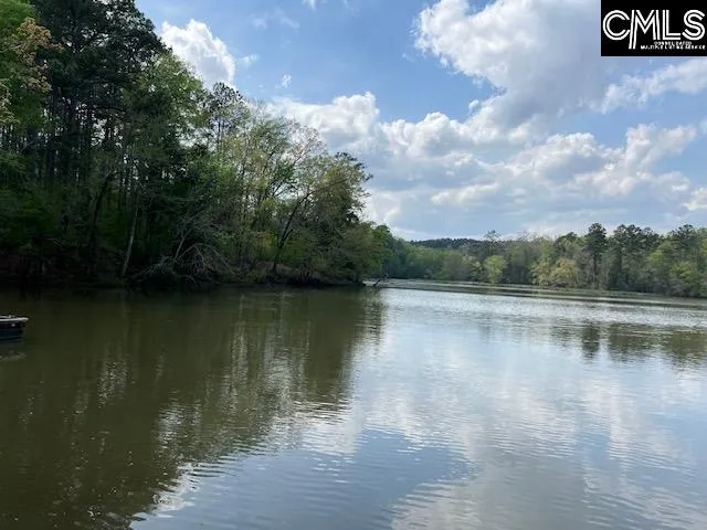 Property image 4 at 280 General Sumter Drive, Great Falls, SC 29055