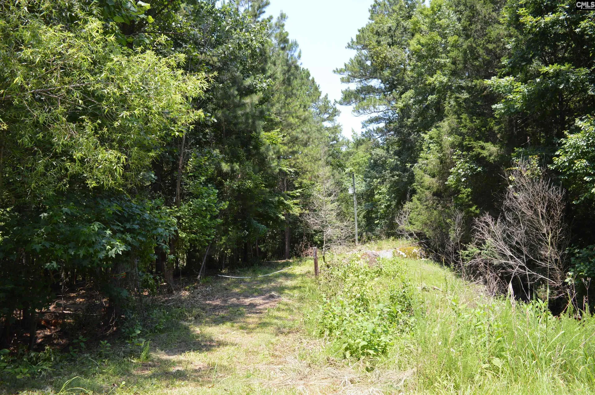 Property image 5 at 280 General Sumter Drive, Great Falls, SC 29055