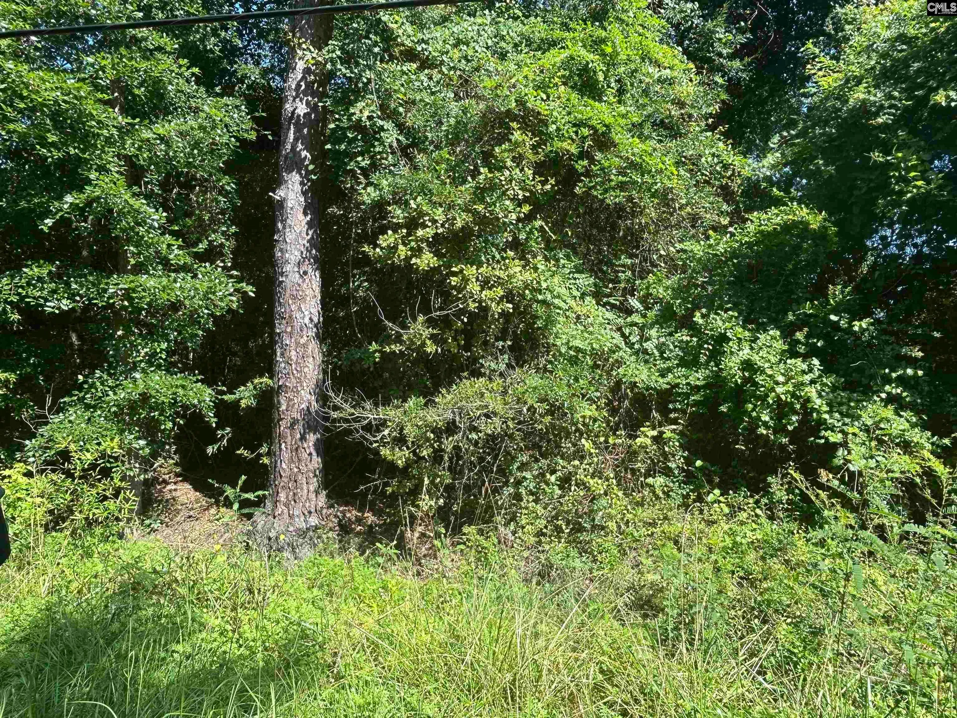 Property image 3 at 2233 Joe Frazier, Columbia, SC 29209-3661