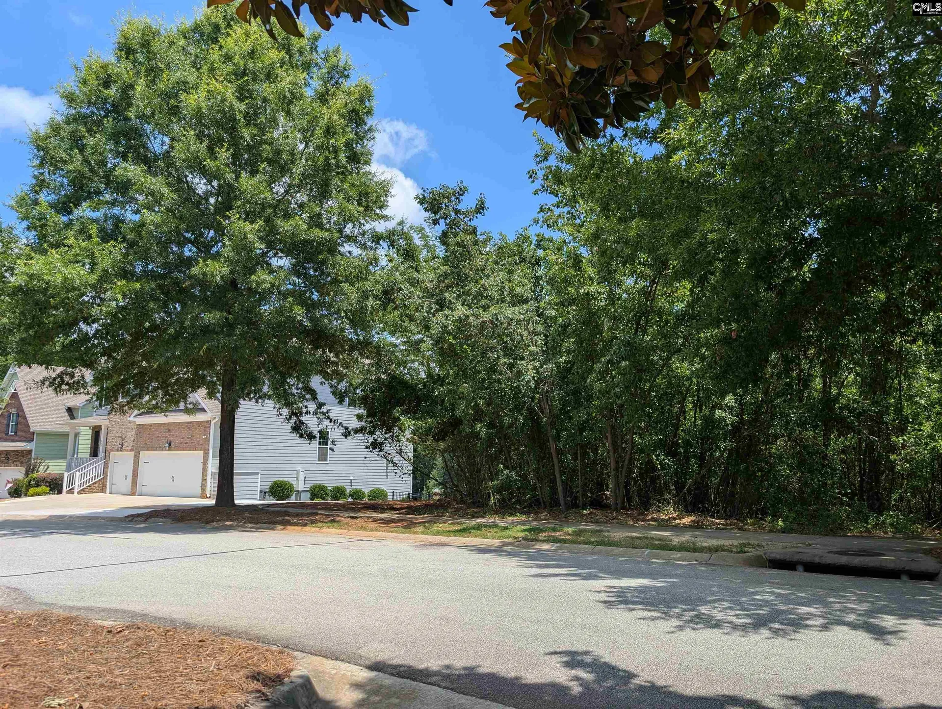 Property image 4 at 1060 Coogler Crossing Drive, Blythewood, SC 29016