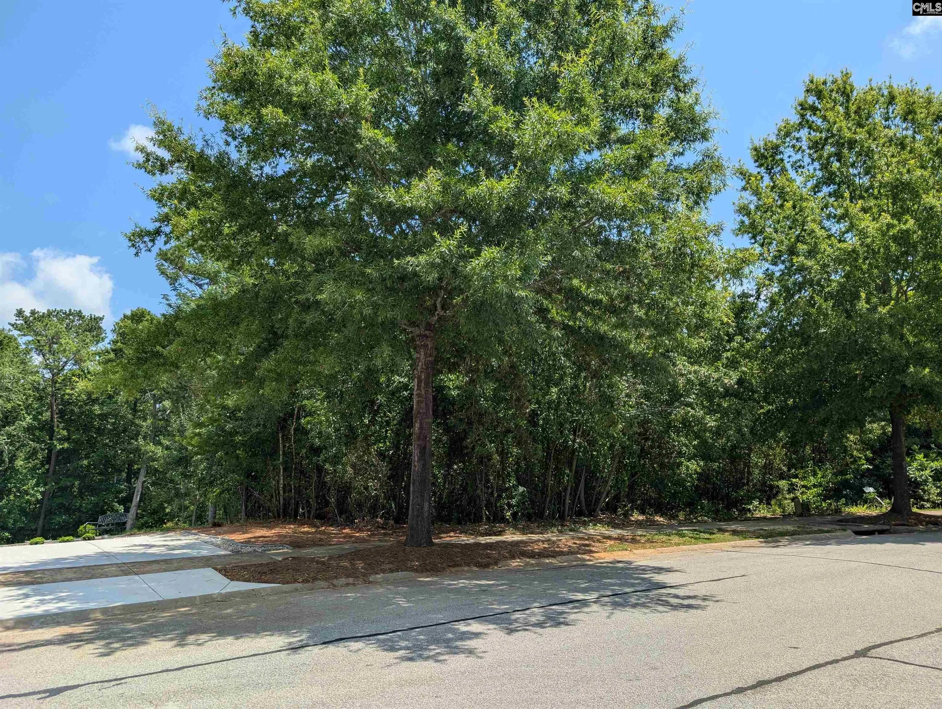 Property image 5 at 1060 Coogler Crossing Drive, Blythewood, SC 29016