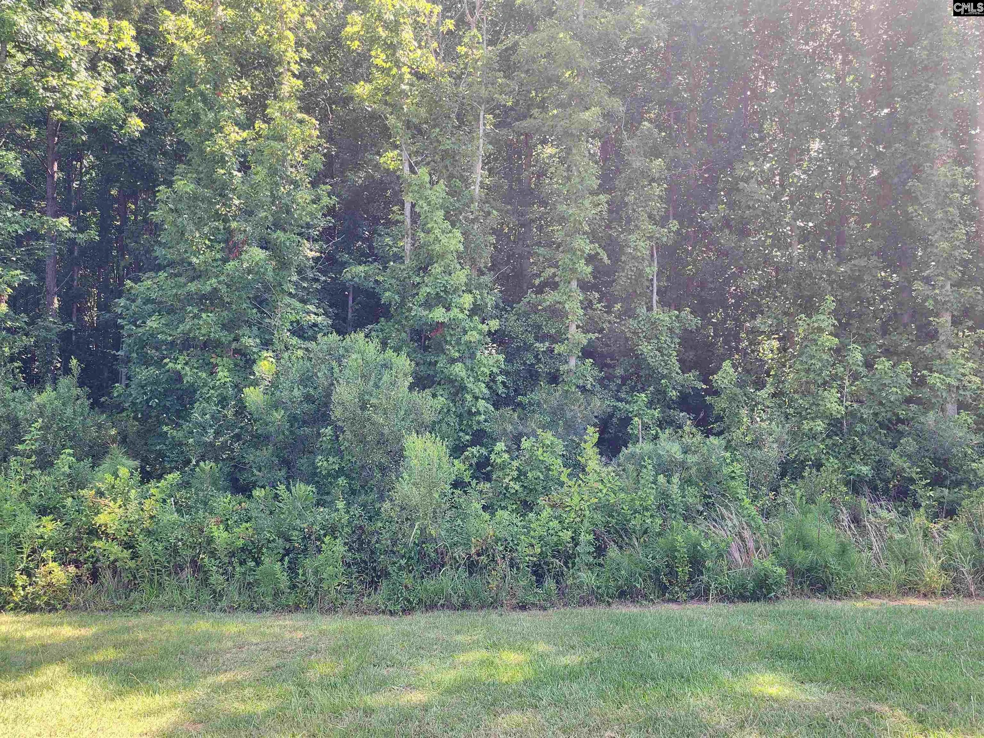 Property image 3 at Lot 85 Clouds Creek Circle, Leesville, SC 29070