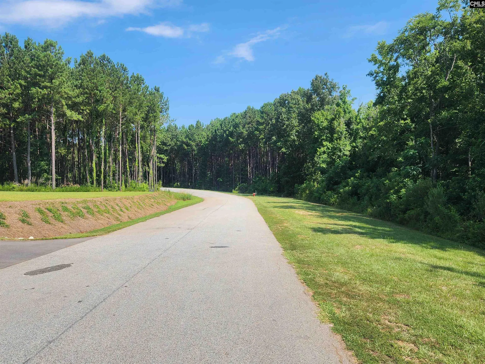 Property image 4 at Lot 85 Clouds Creek Circle, Leesville, SC 29070