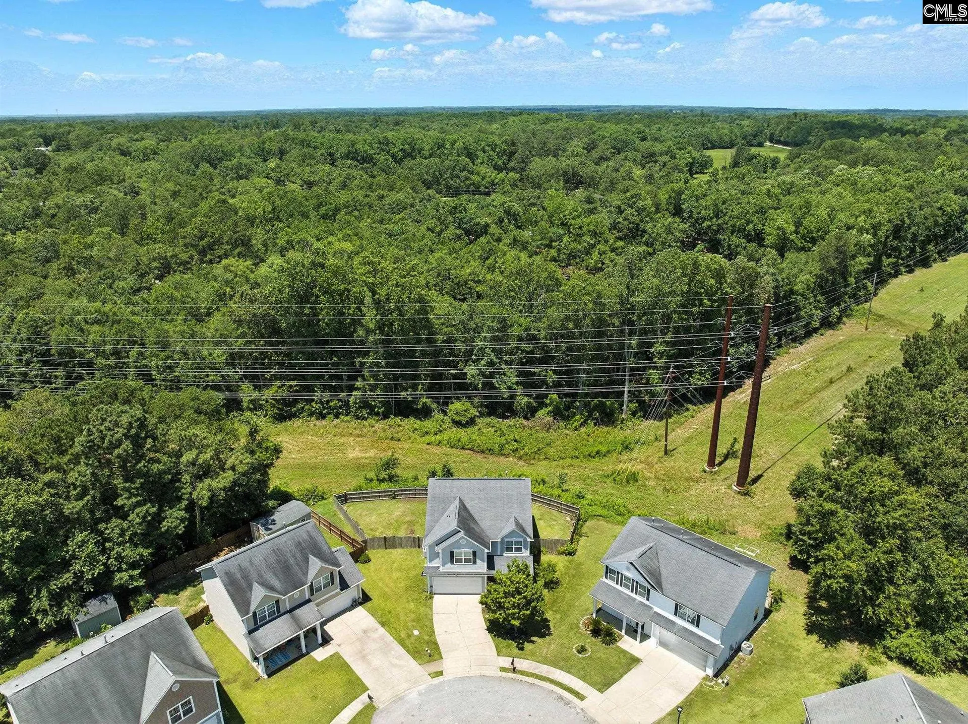 Property image 3 at 285 Black Pine Court, Lexington, SC 29073