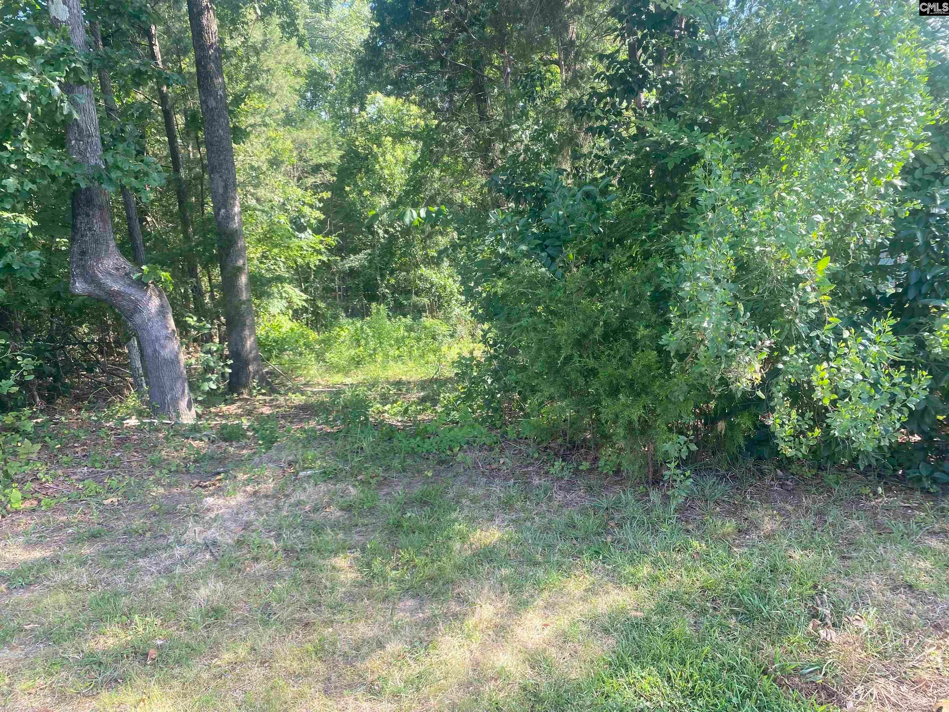 Property image 2 at 115 Beacon Point Road, Irmo, SC 29063