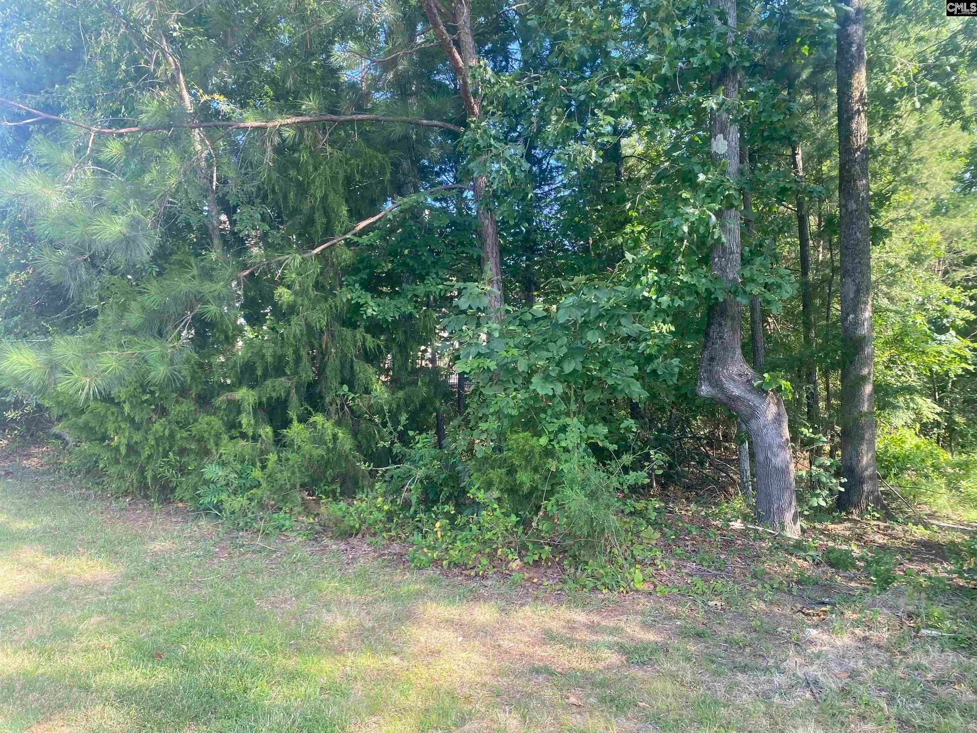 Property image 3 at 115 Beacon Point Road, Irmo, SC 29063