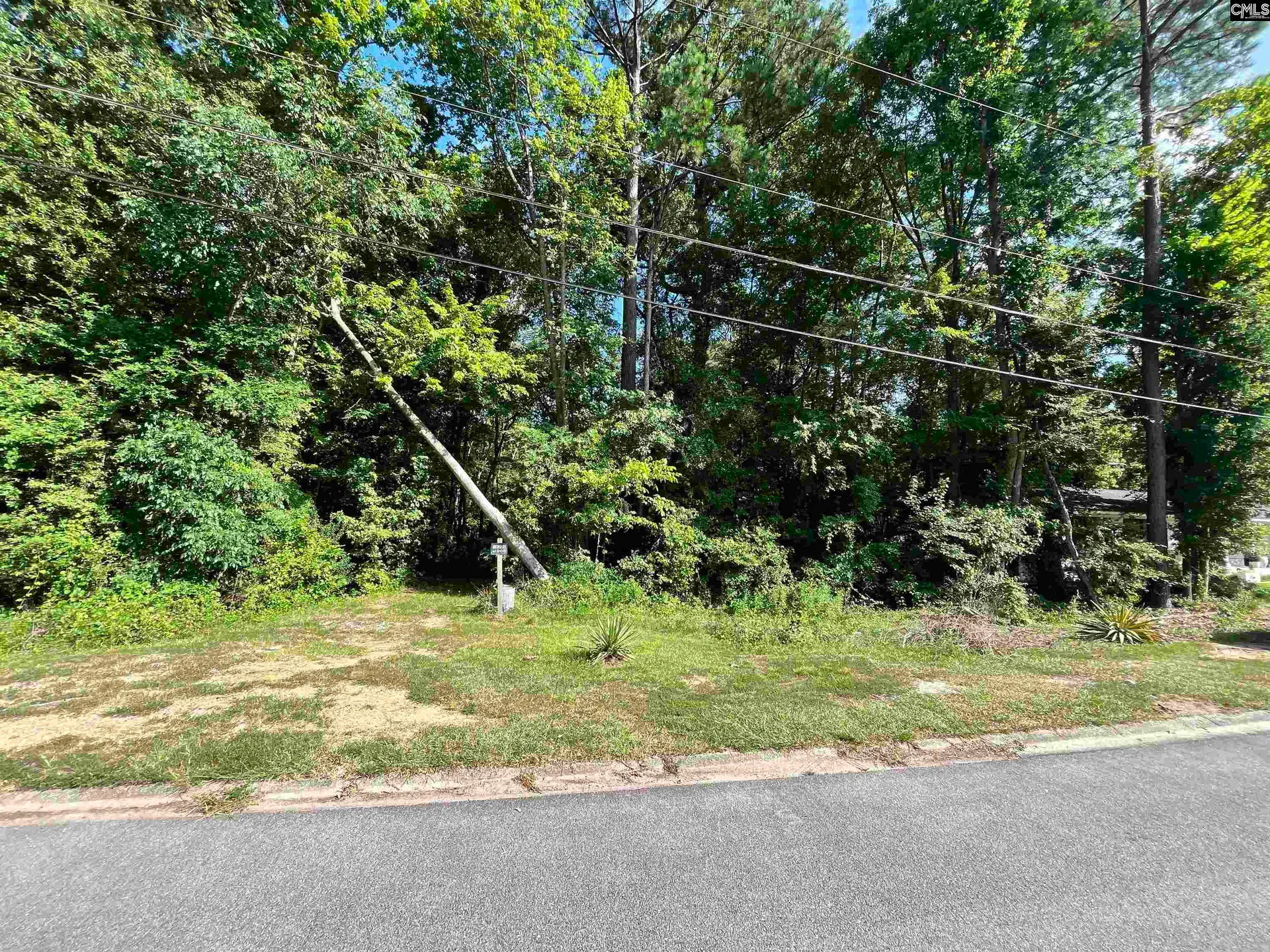 1120 Newnham Drive