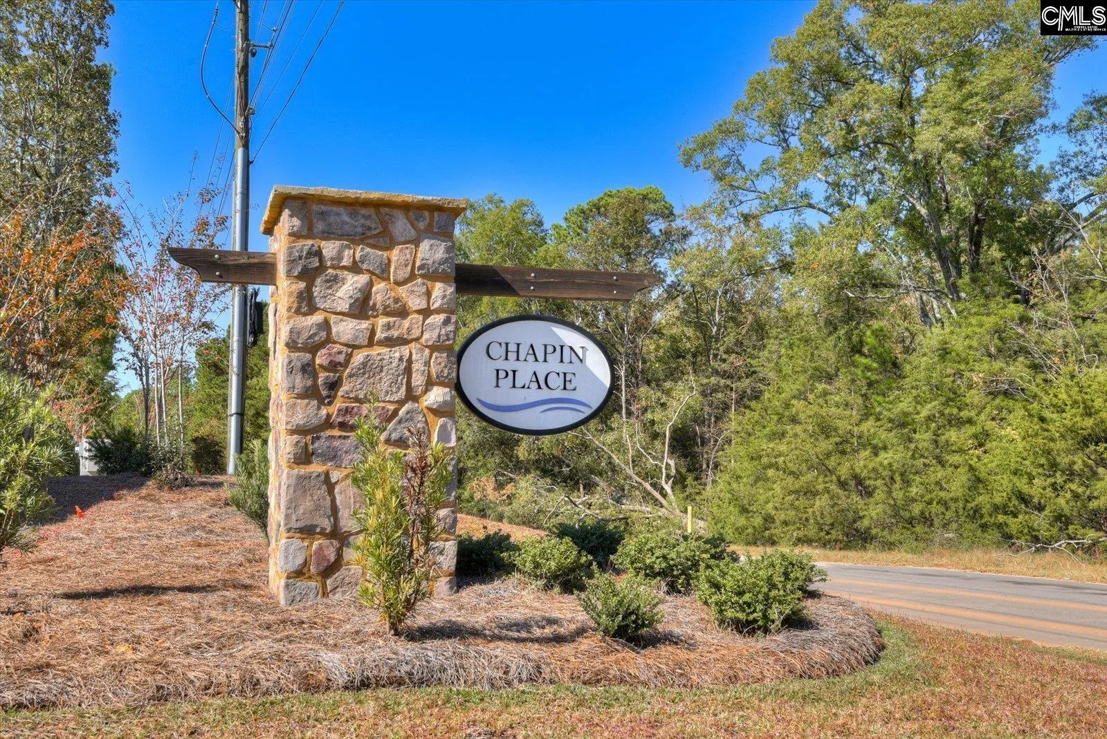 Property image 3 at 330 Chapin Place Way, Chapin, SC 29036