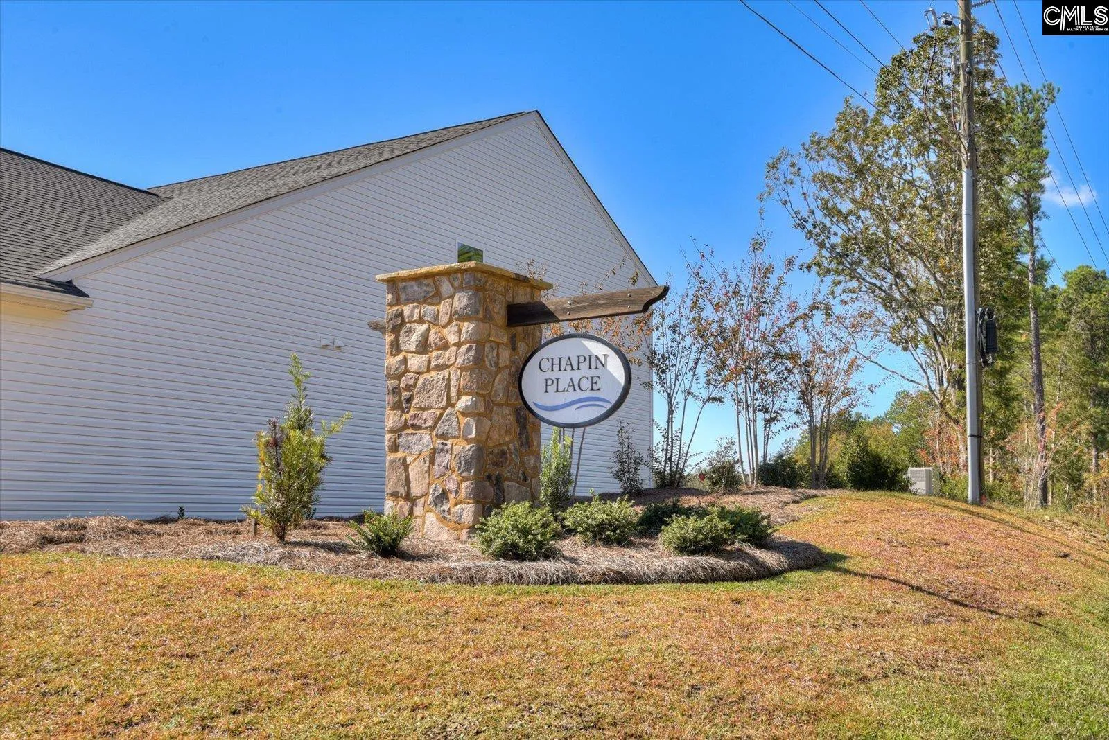 Property image 4 at 330 Chapin Place Way, Chapin, SC 29036