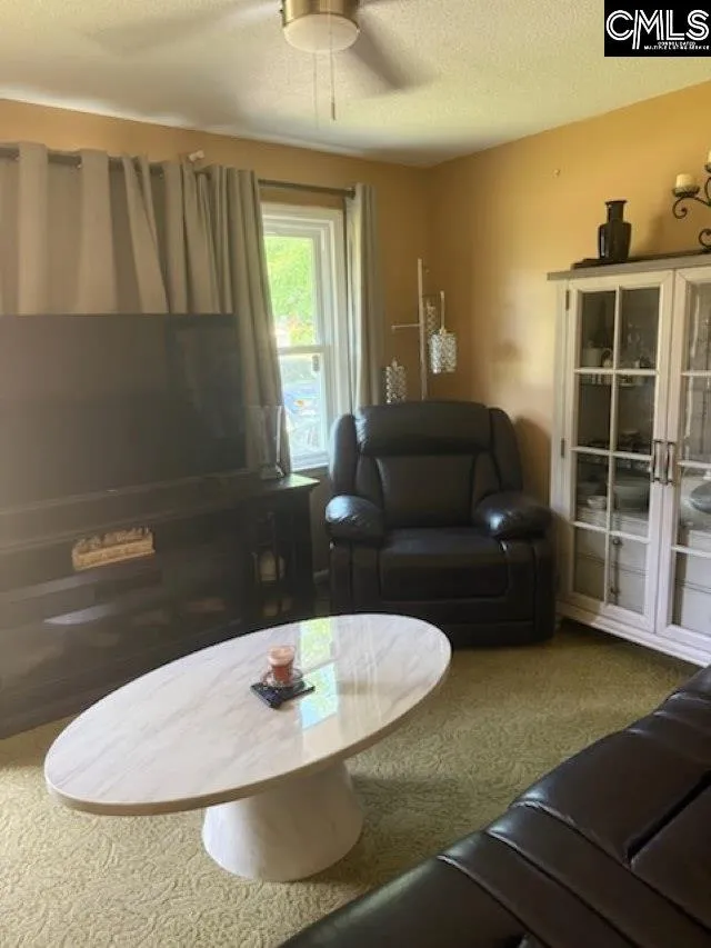 Property image 3 at 101 Sunglow Court, Columbia, SC 29223