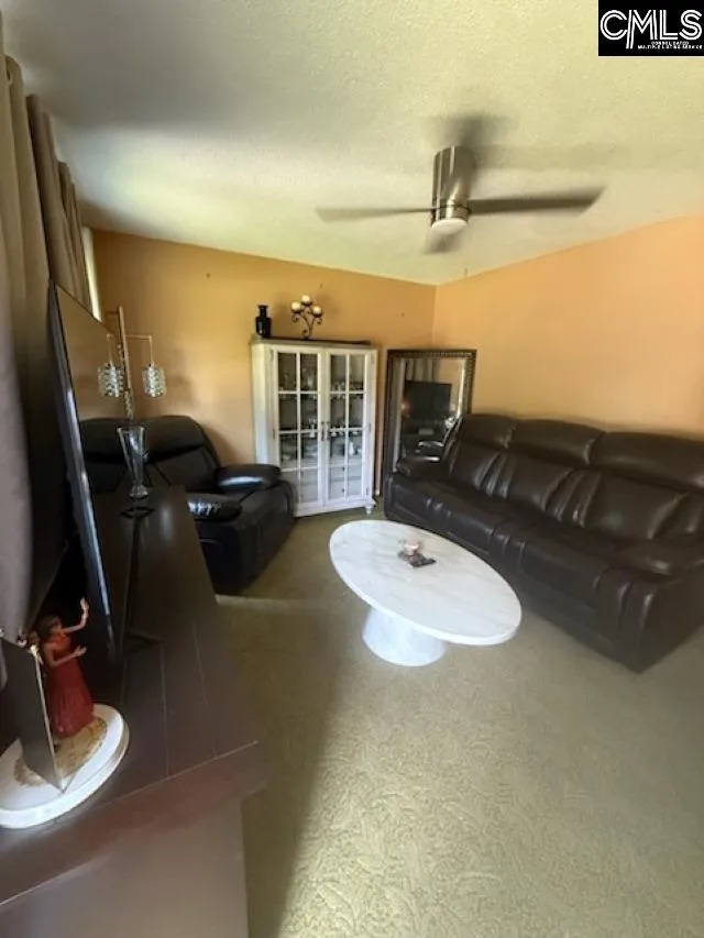 Property image 4 at 101 Sunglow Court, Columbia, SC 29223