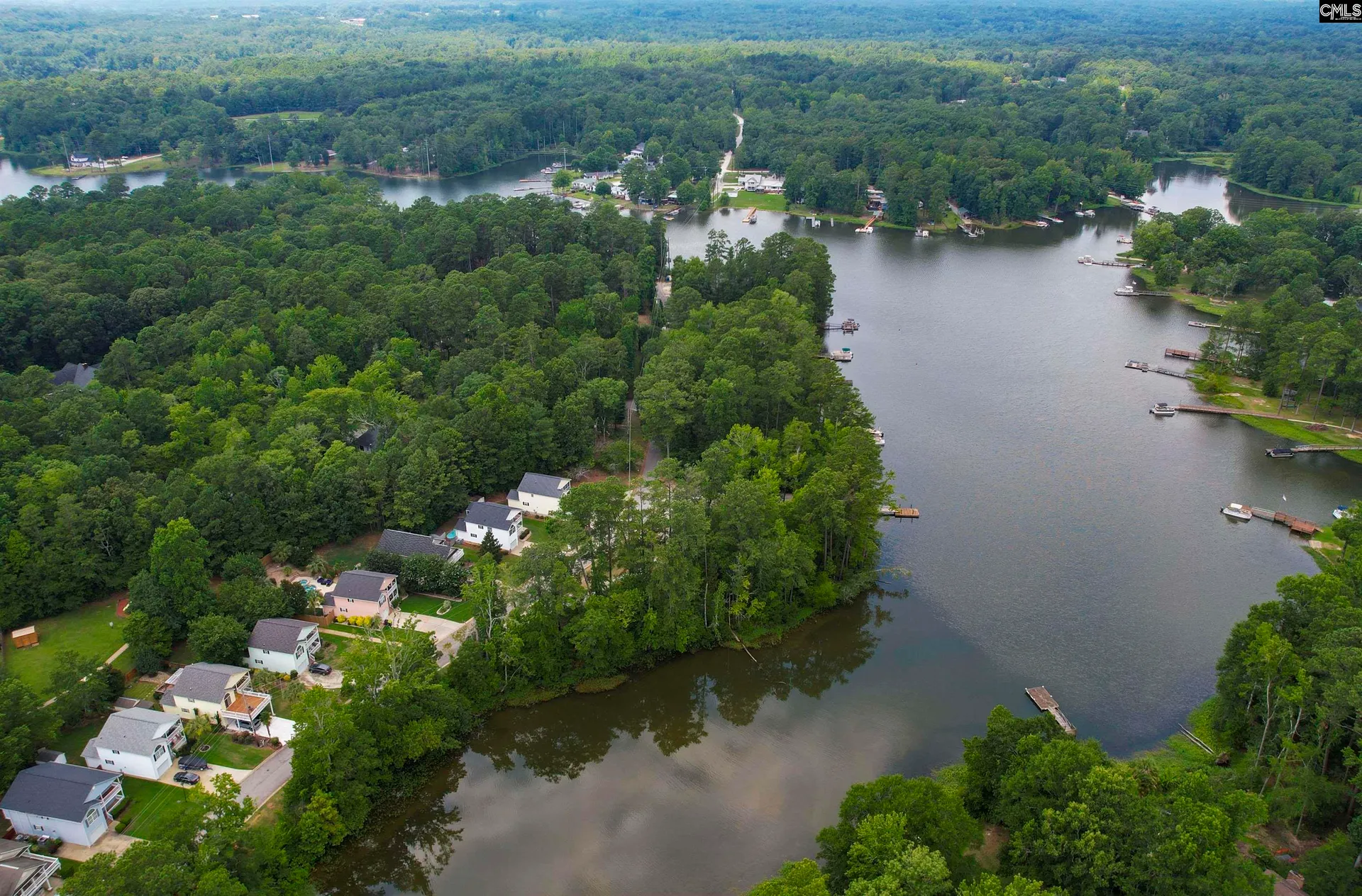 Property image 2 at 1177 Old Bush River Road, Chapin, SC 29063