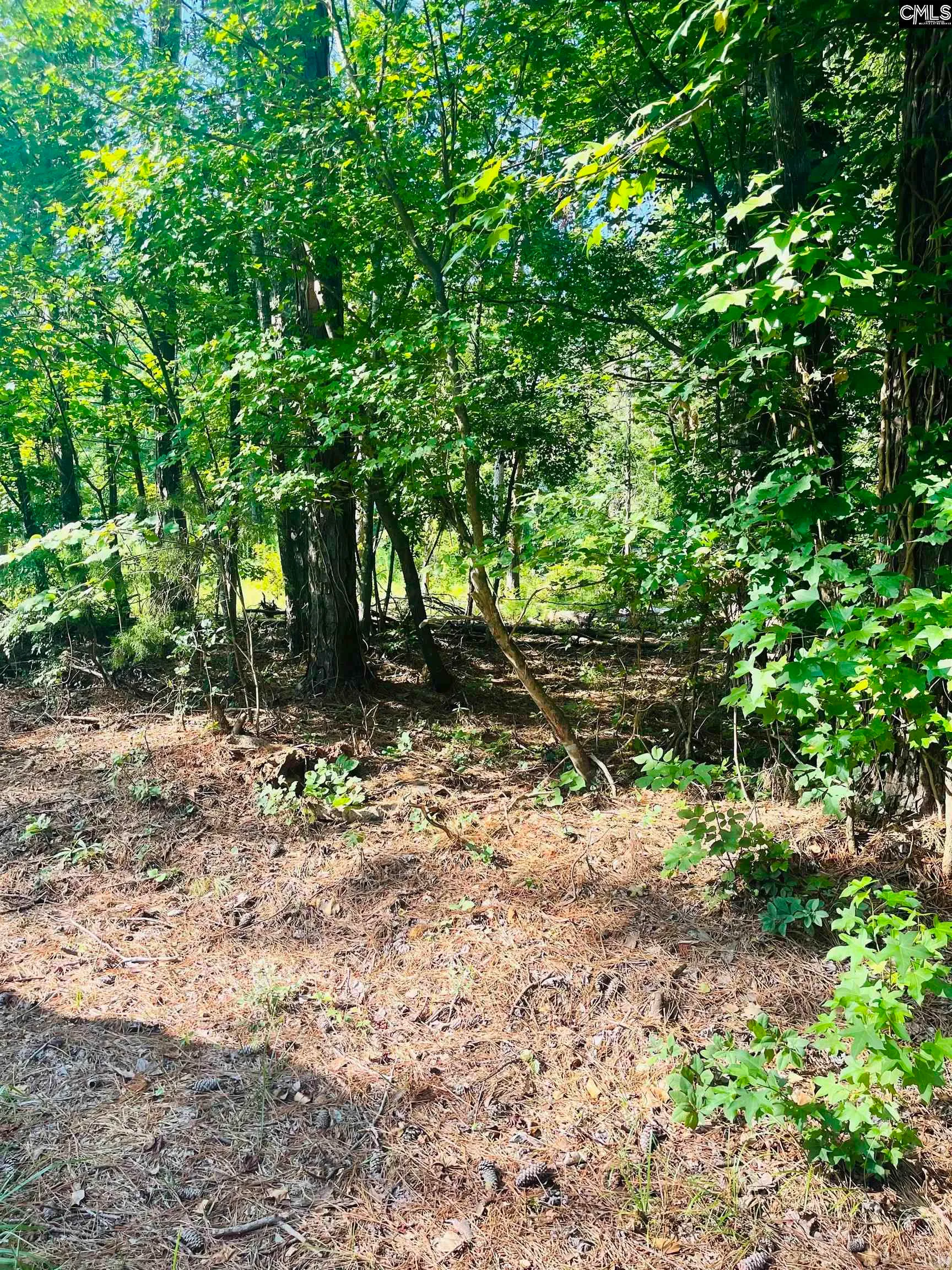 Property image 2 at 0 Lake Drive, Leesville, SC 29070