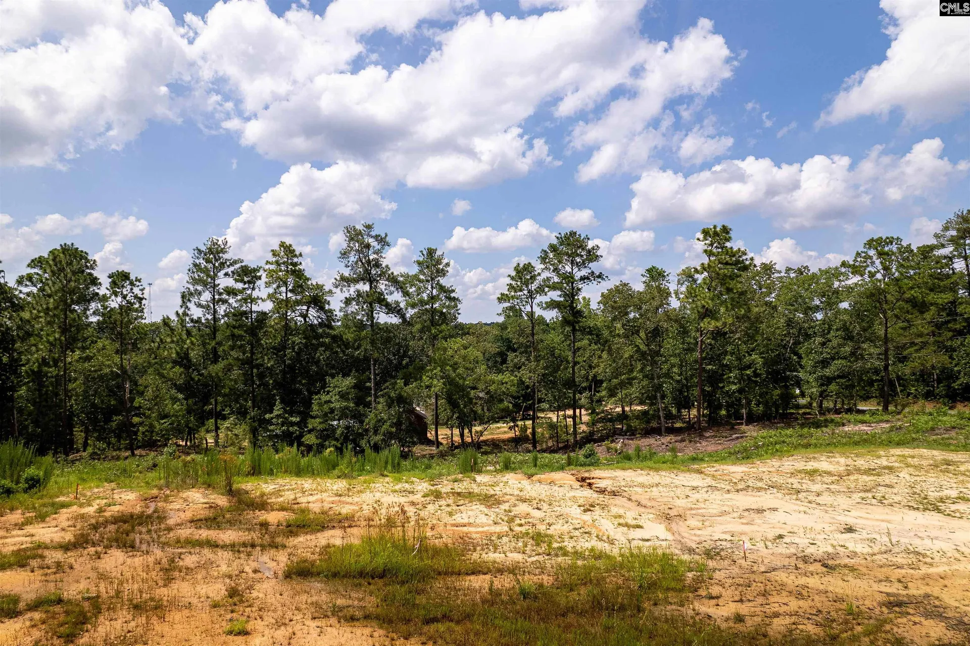 Property image 3 at 204 Doe Drive, Hopkins, SC 29061