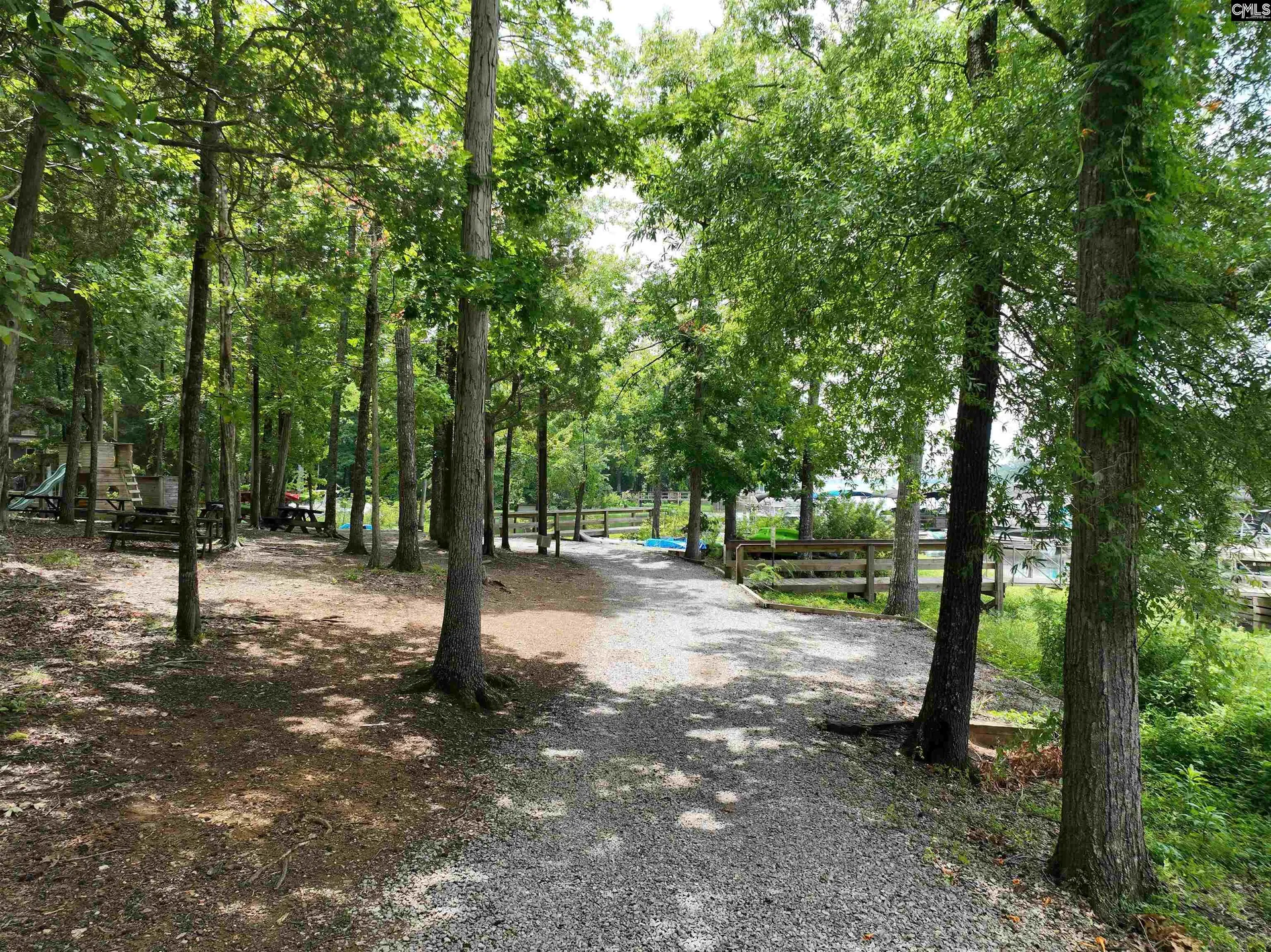 Property image 5 at 201 Willowood Parkway, Chapin, SC 29036