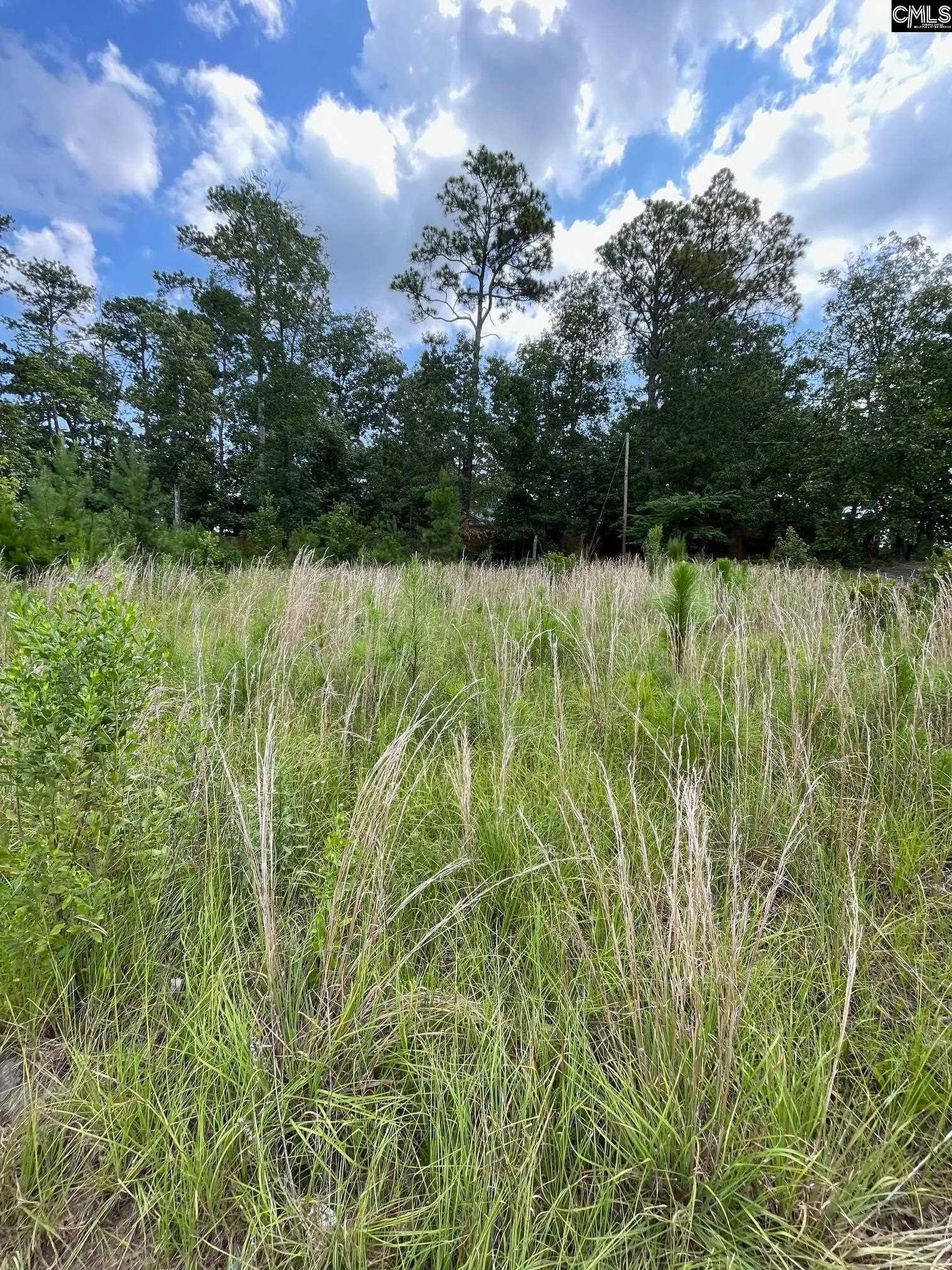 Property image 2 at 769 Club Cottage Drive, Blythewood, SC 29016