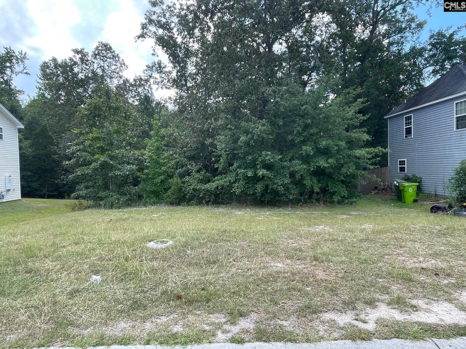 Hester Woods, Columbia Community