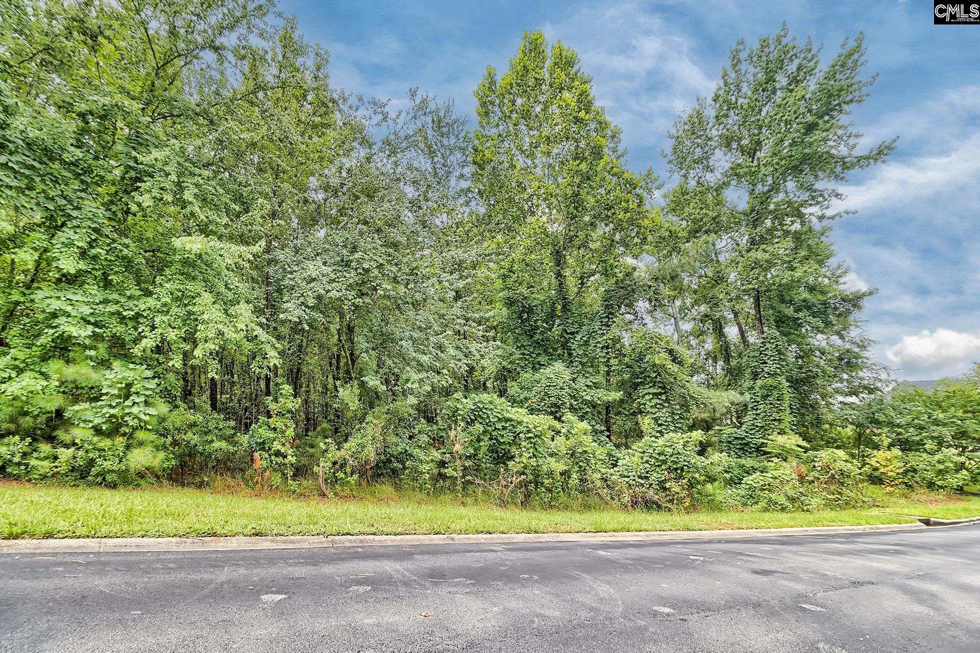 Property image 2 at 0 Kelsey Glen Drive, Lexington, SC 29072