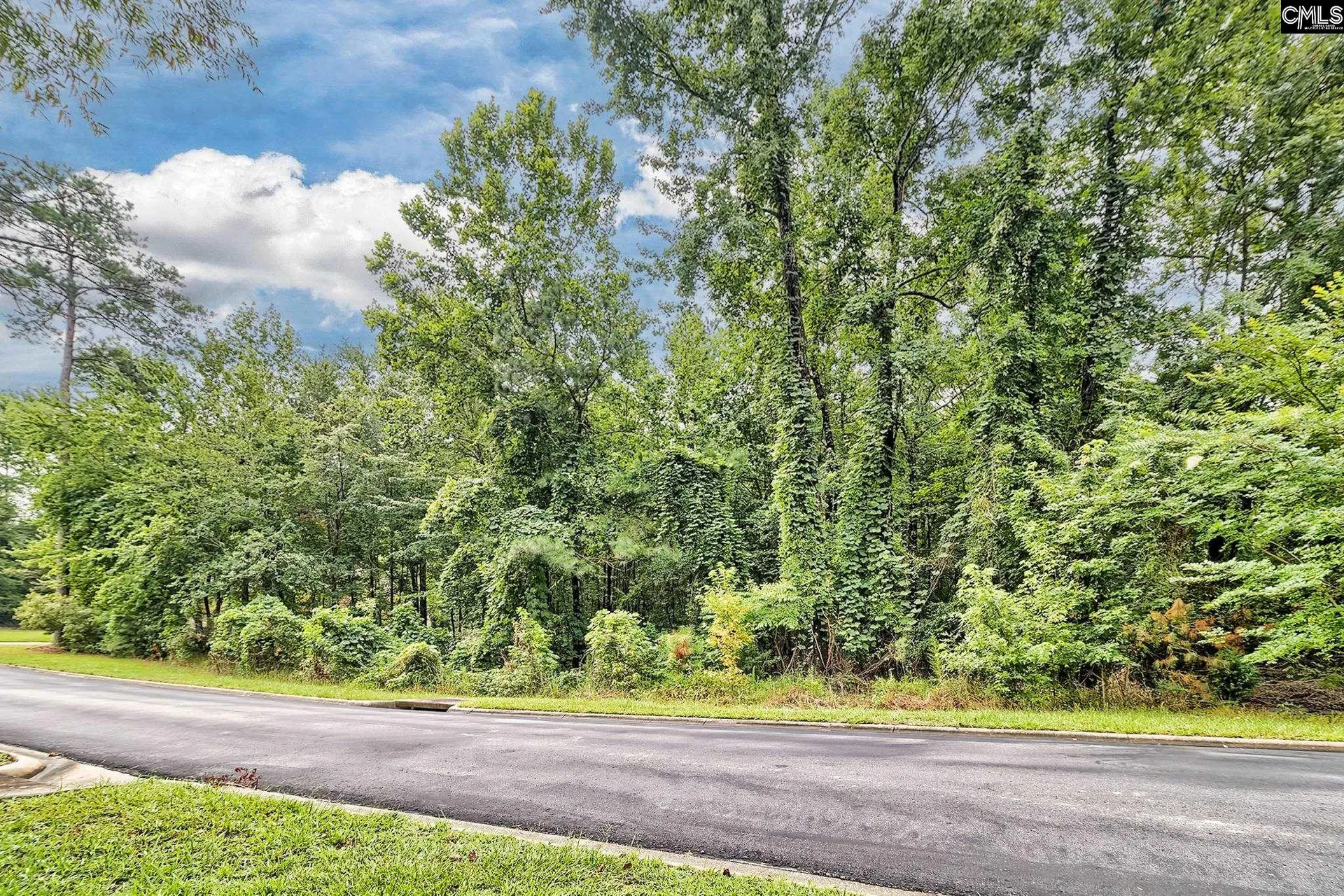 Property image 3 at 0 Kelsey Glen Drive, Lexington, SC 29072