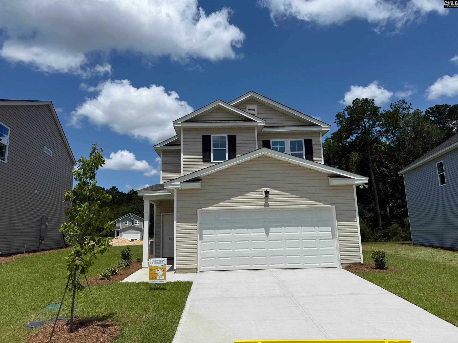 807 Daniel Lake Court