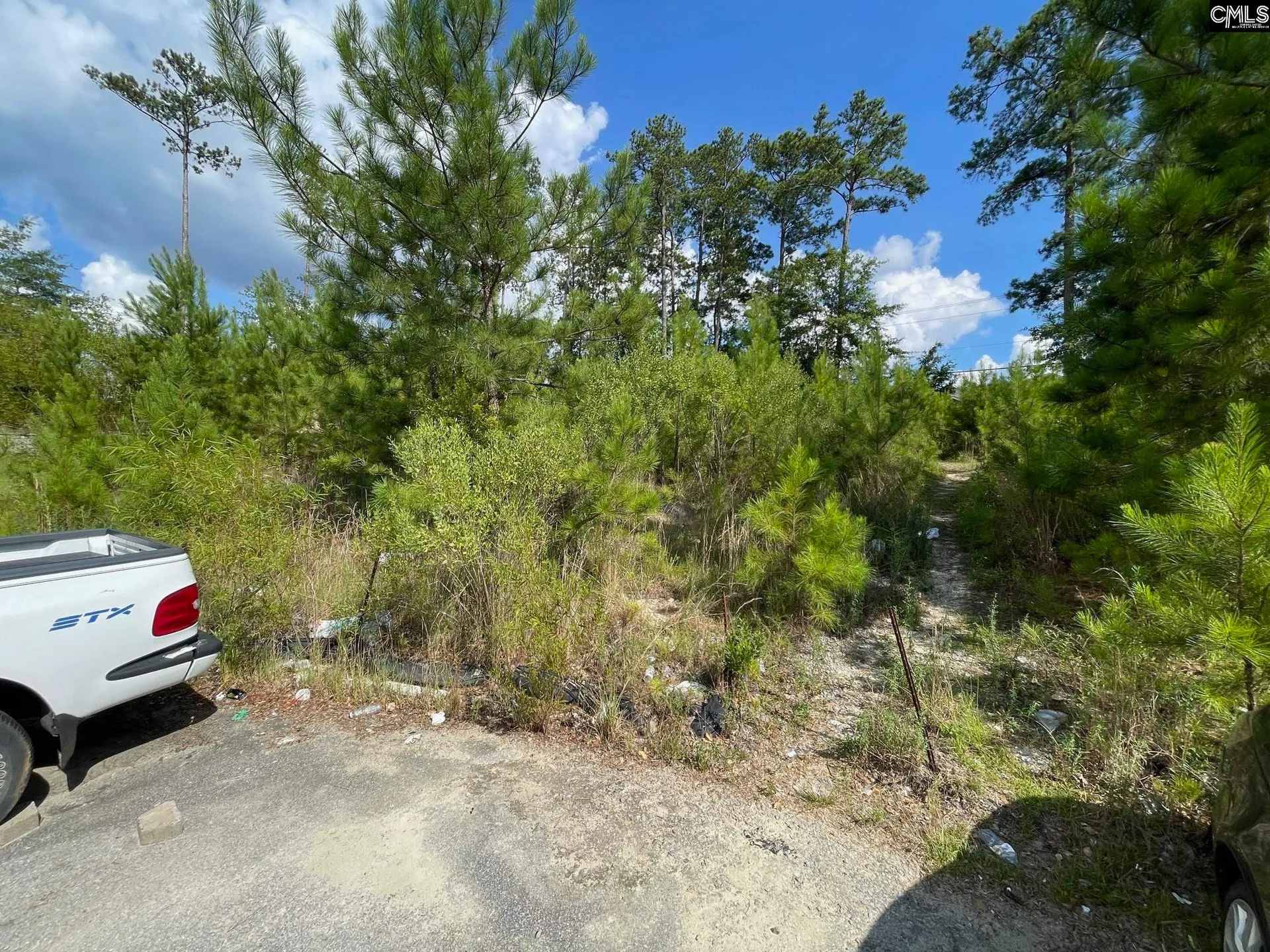 Farrow Pointe, Columbia Community