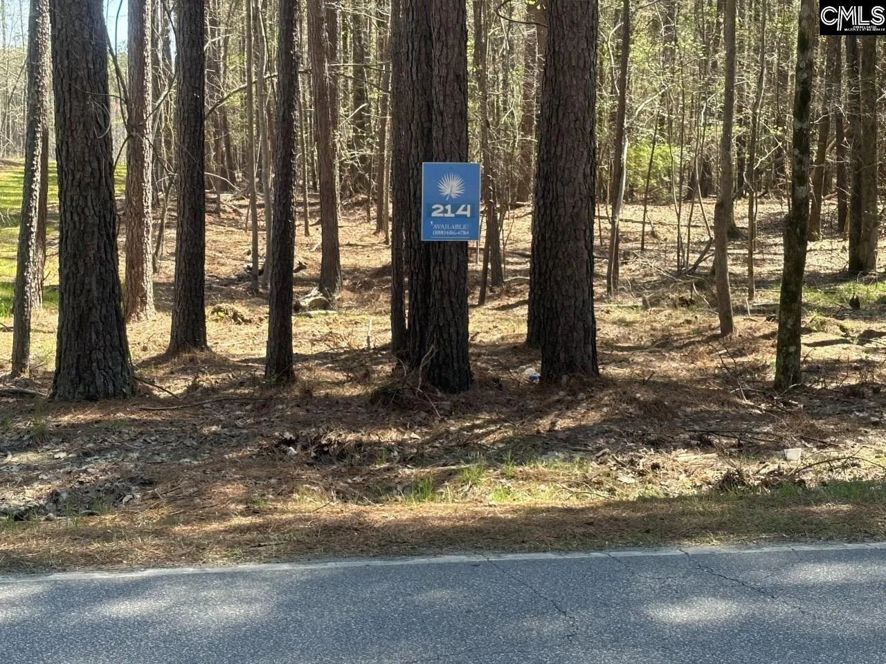 Property image 3 at Lot 214 Hollands Landing Road, Prosperity, SC 29127