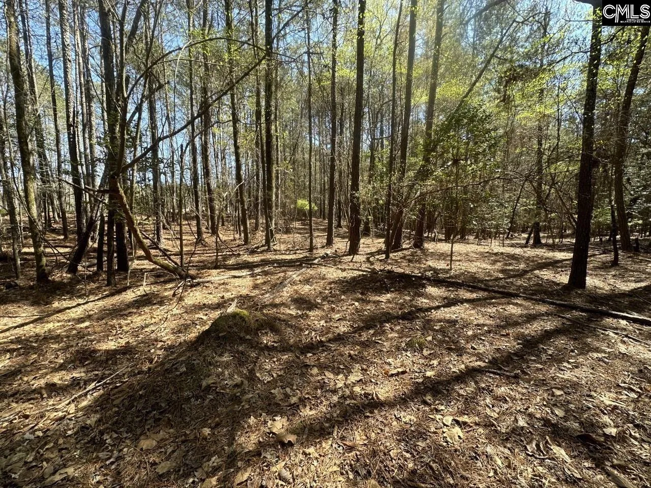 Property image 4 at Lot 214 Hollands Landing Road, Prosperity, SC 29127