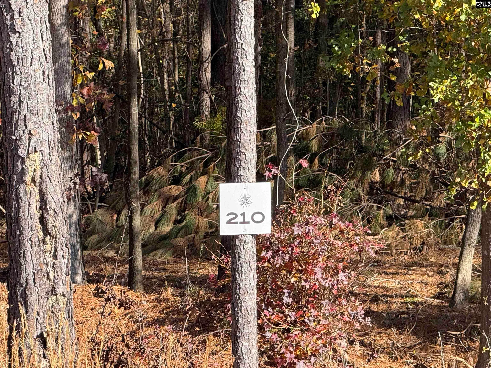 Property image 2 at Lot 210 Circle H Woods Road, Prosperity, SC 29127