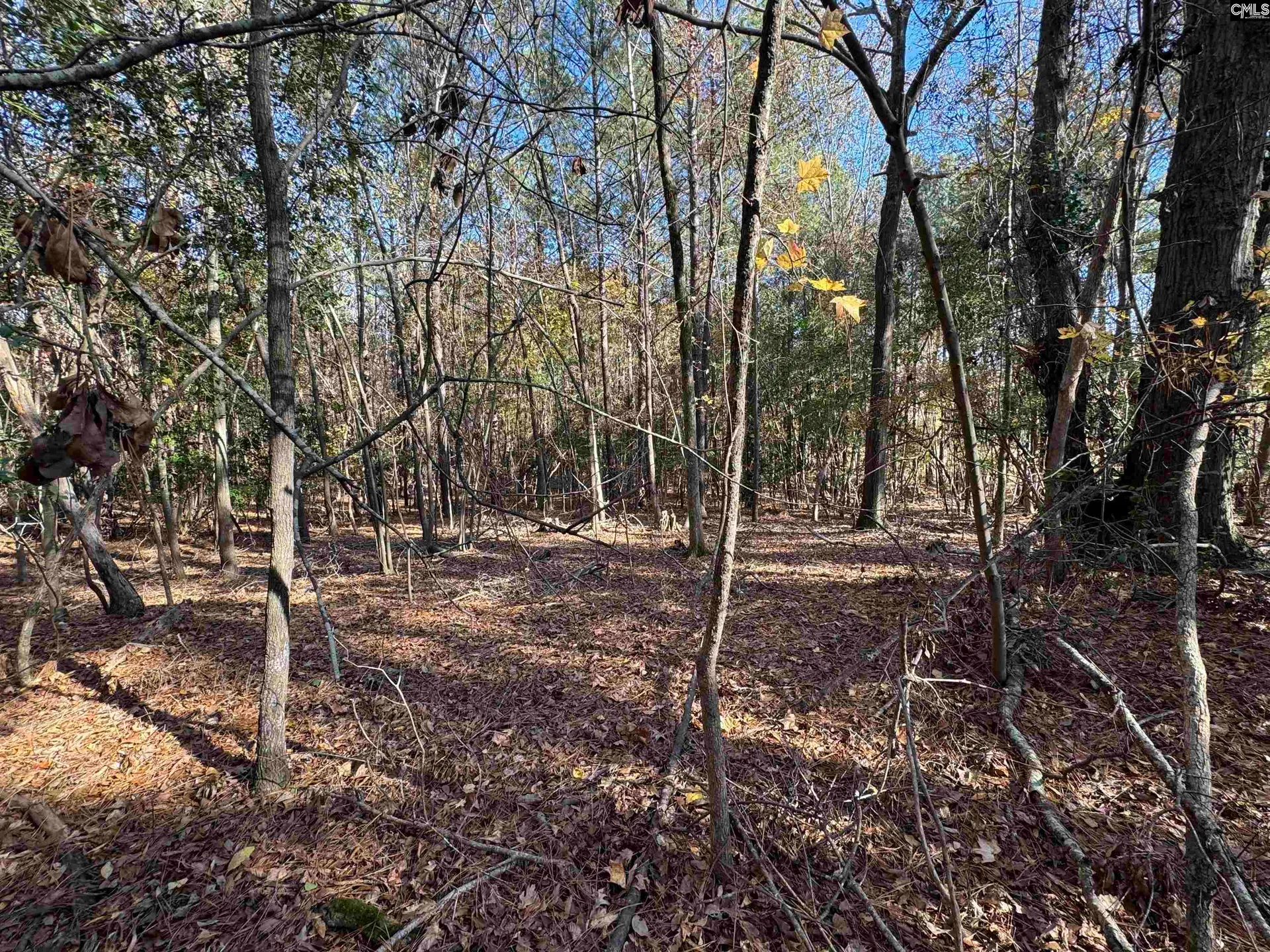 Property image 3 at Lot 210 Circle H Woods Road, Prosperity, SC 29127