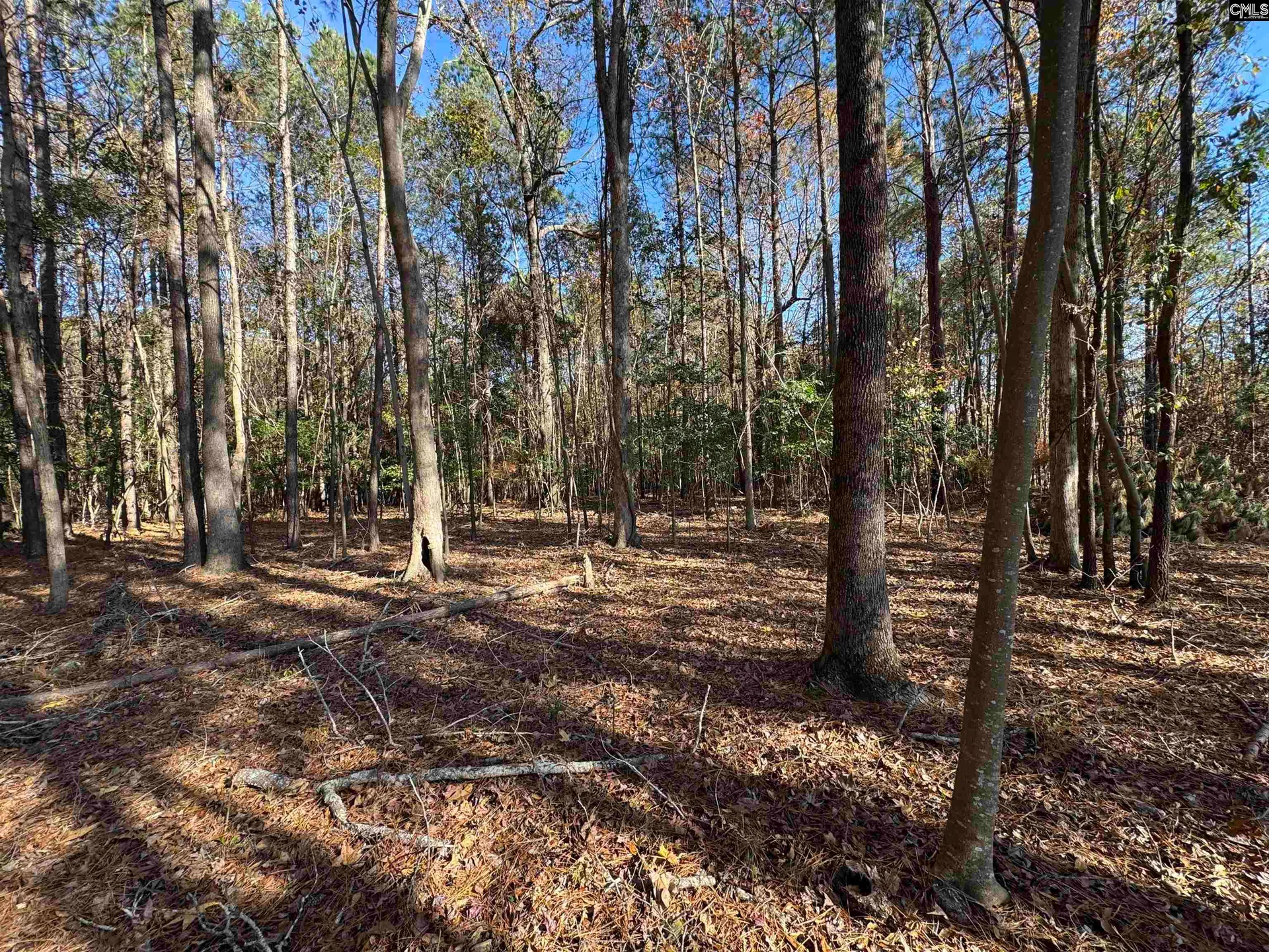 Property image 4 at Lot 210 Circle H Woods Road, Prosperity, SC 29127