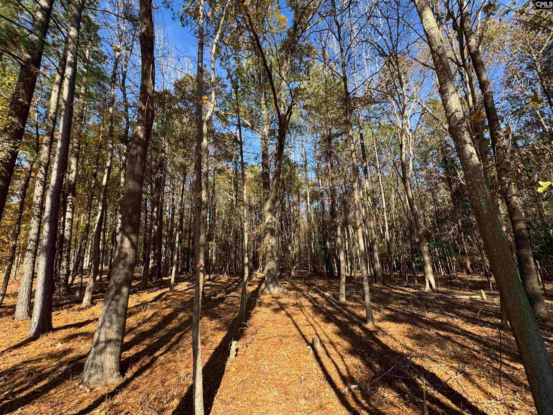 Property image 5 at Lot 210 Circle H Woods Road, Prosperity, SC 29127