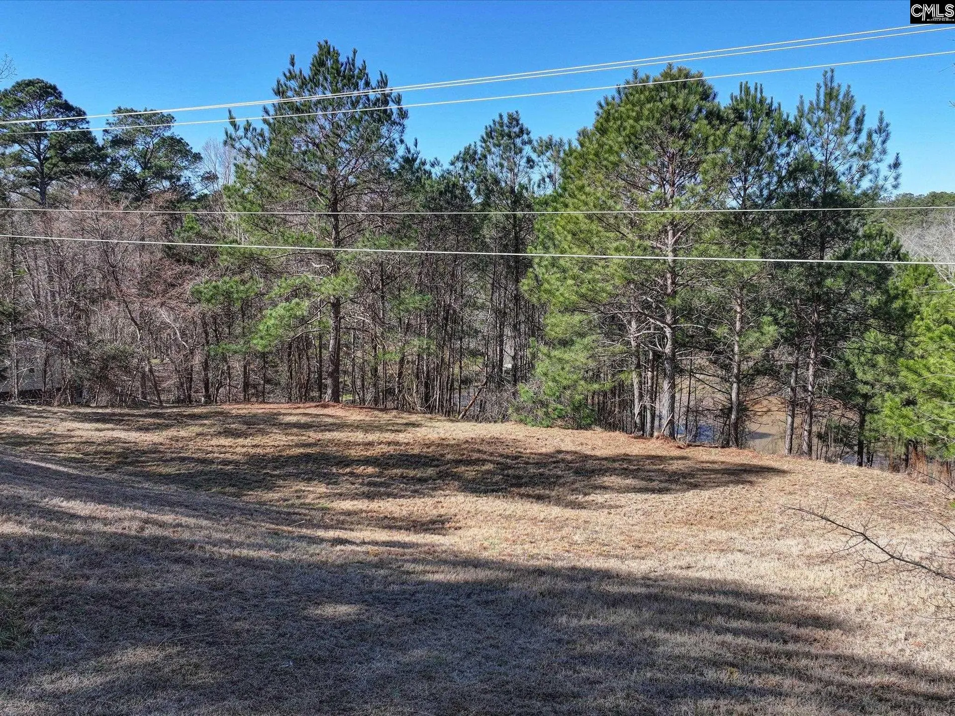 Property image 5 at 2984 Lake Road, Ridgeway, SC 29130