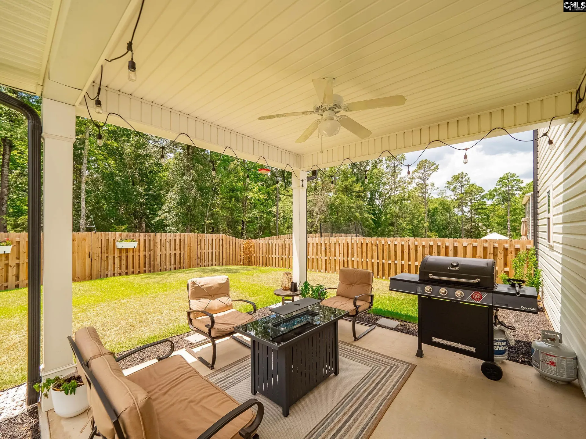 Property image 3 at 117 Irish Setter Street, Chapin, SC 29036
